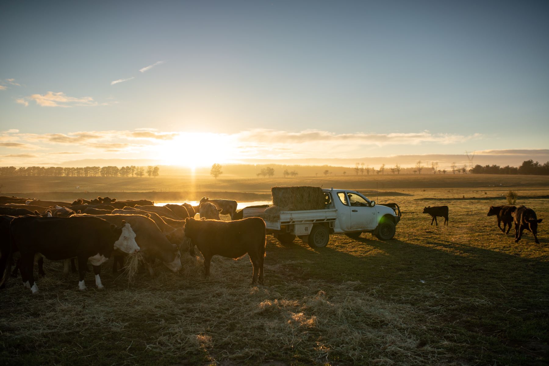 Young leaders to take to Beef24 stage