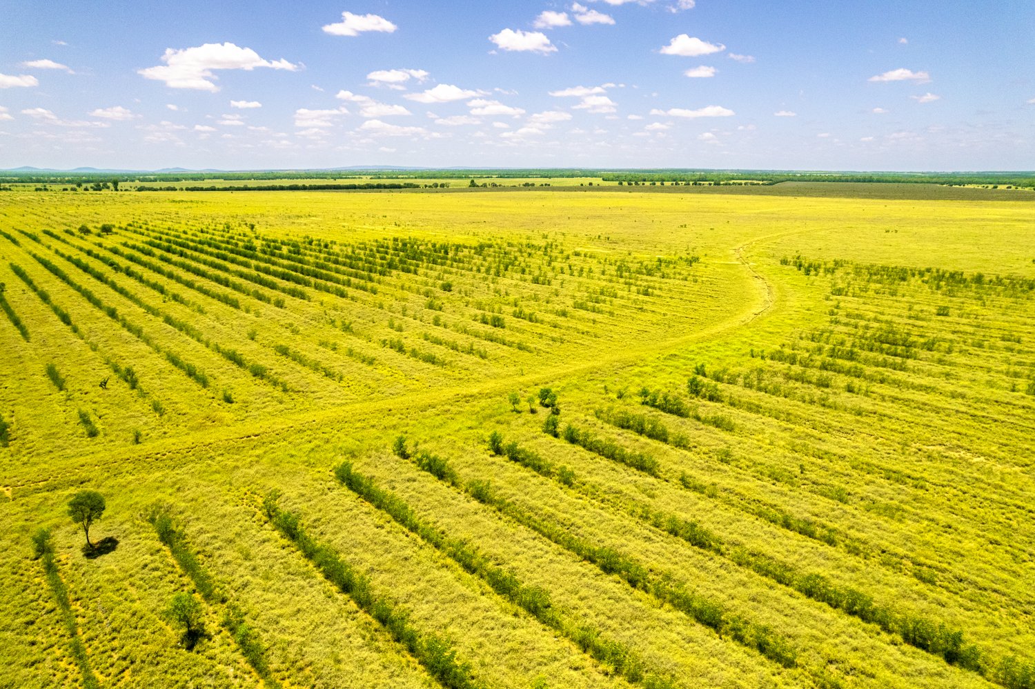 Property Roundup: $22m plus expected for Central QLD cattle station
