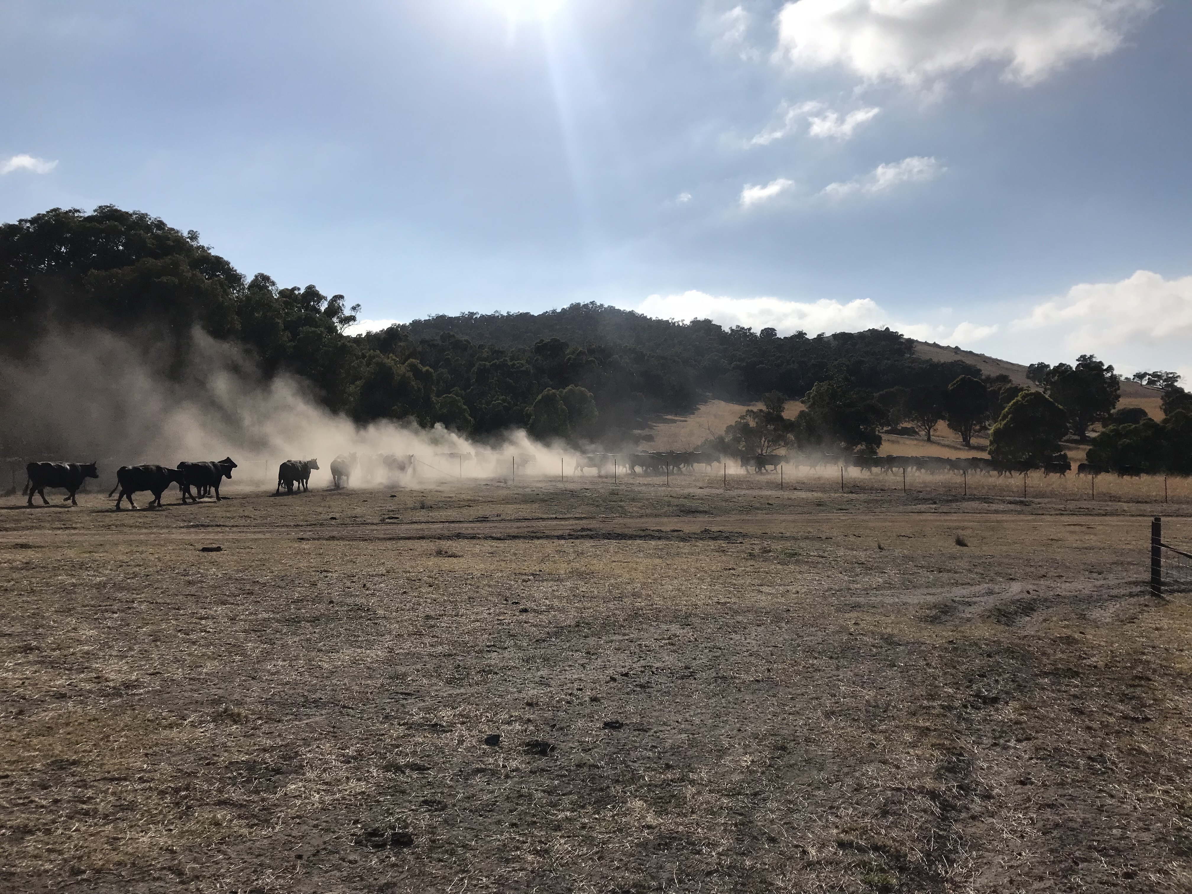 Drought indicators and resources