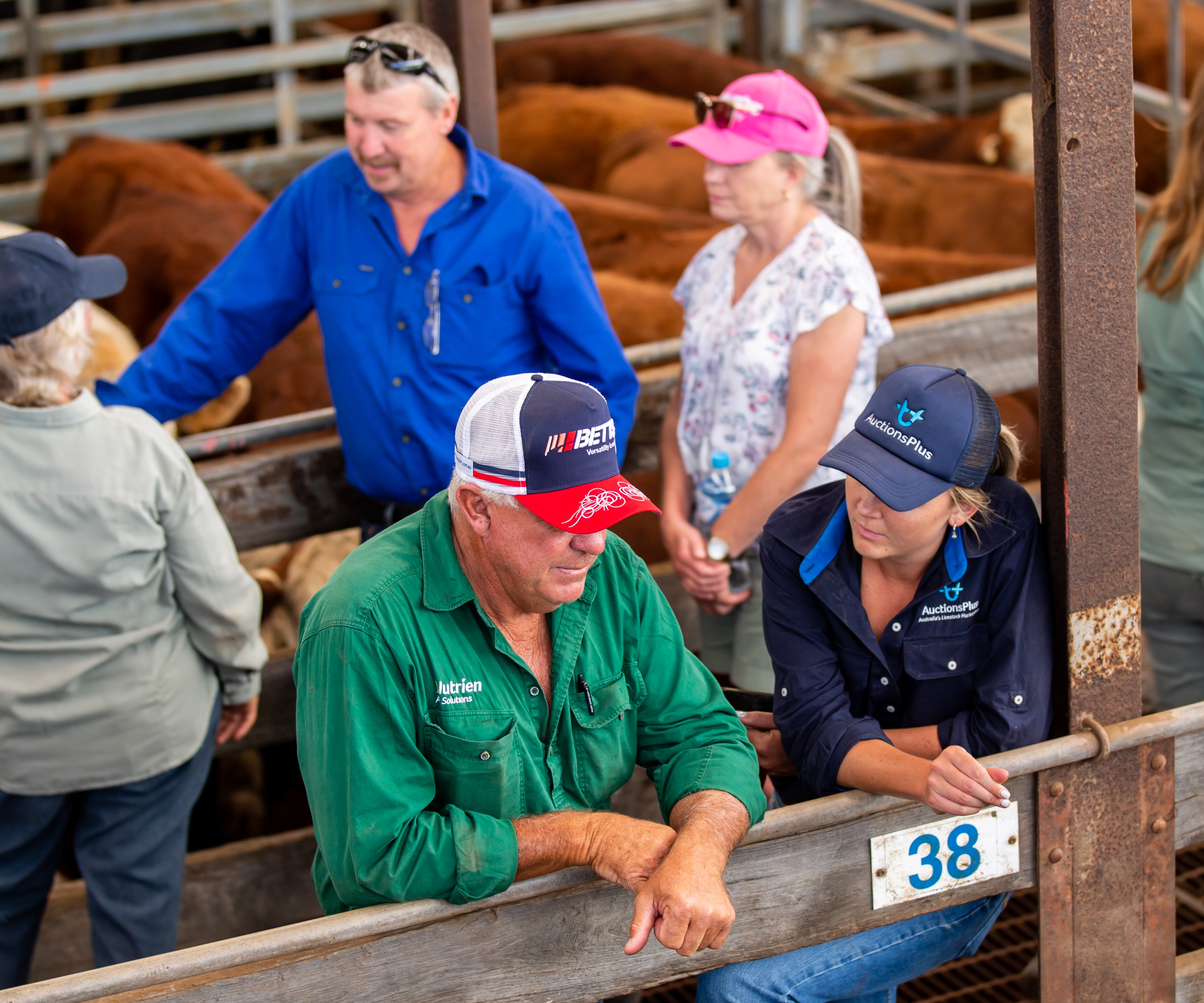 AuctionsPlus releases new price discovery tool