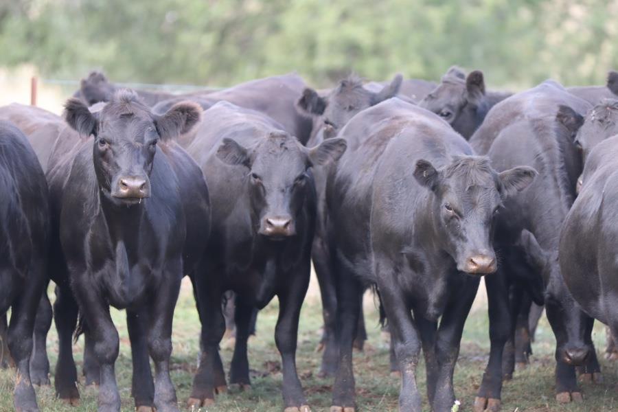 Exports warming up for a strong year