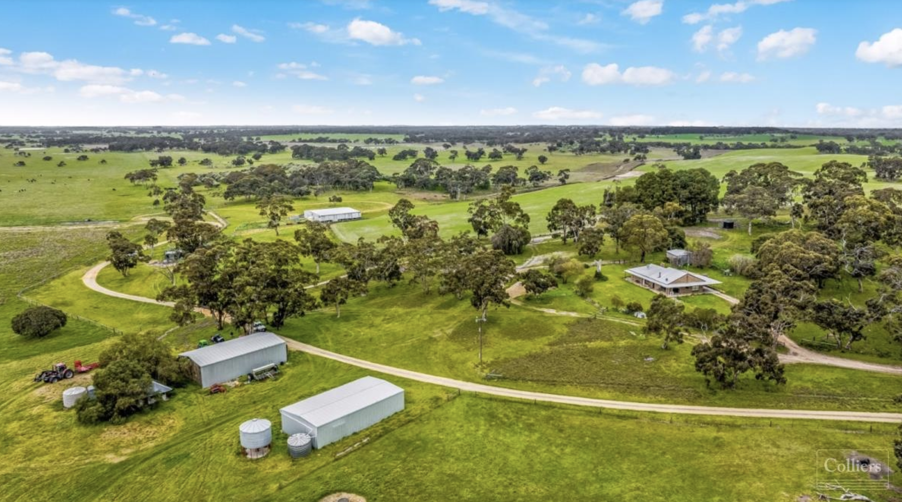 Green shoots and golden opportunities: How ESG demand and global politics are reshaping rural real estate