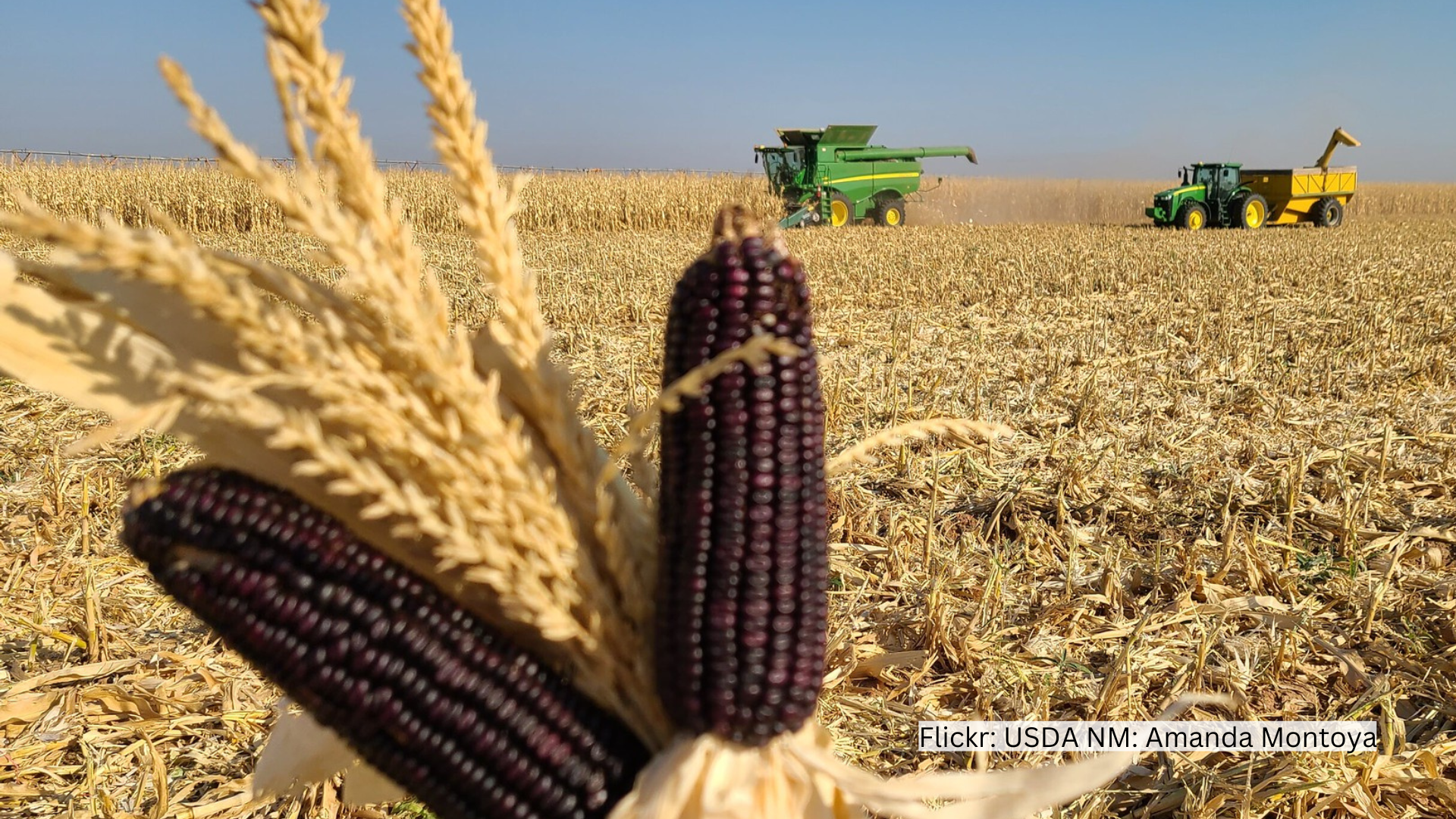 US Dept. of Ag to invest $300m to track farm carbon emissions