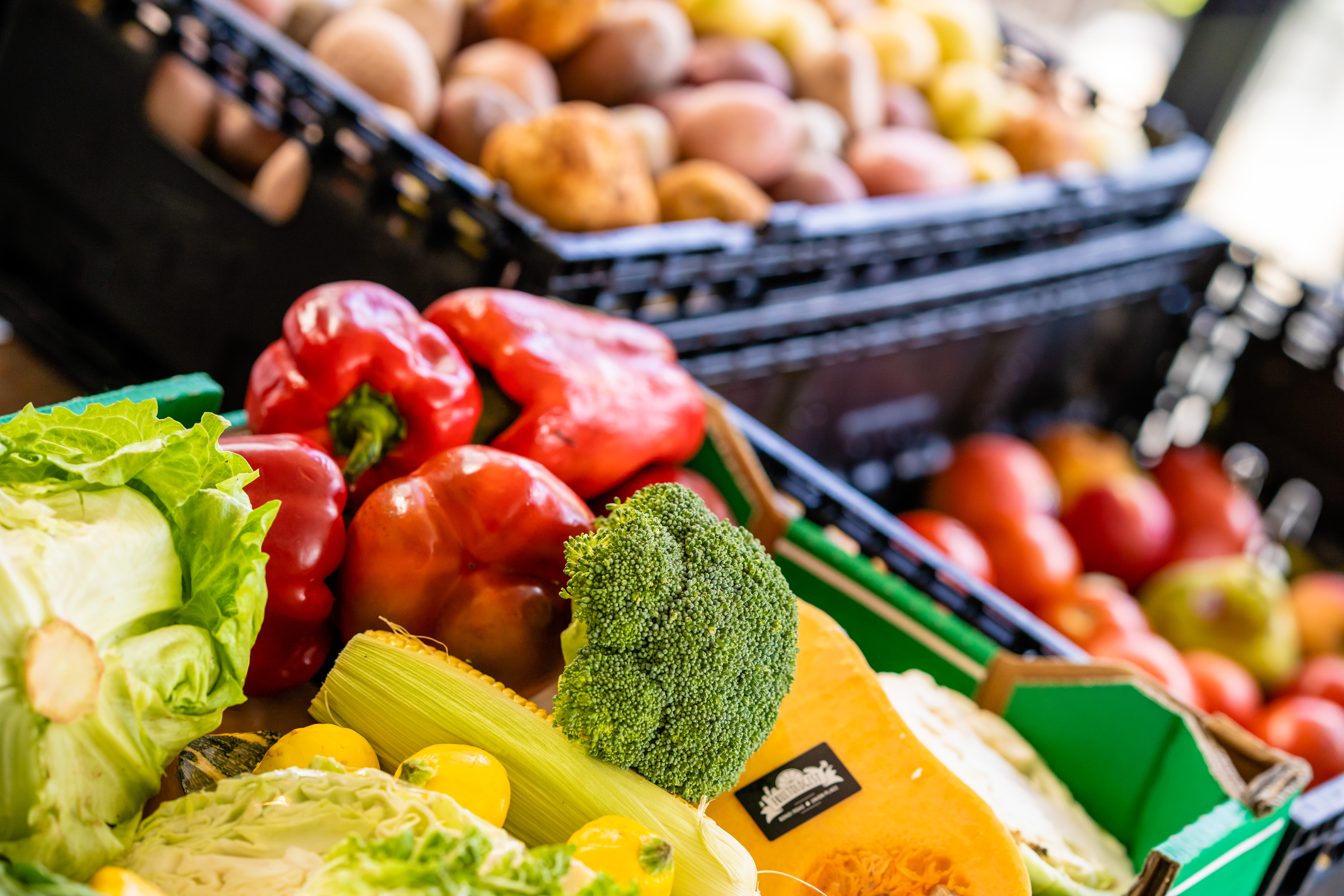 Ag committee says Australia needs a Minister For Food