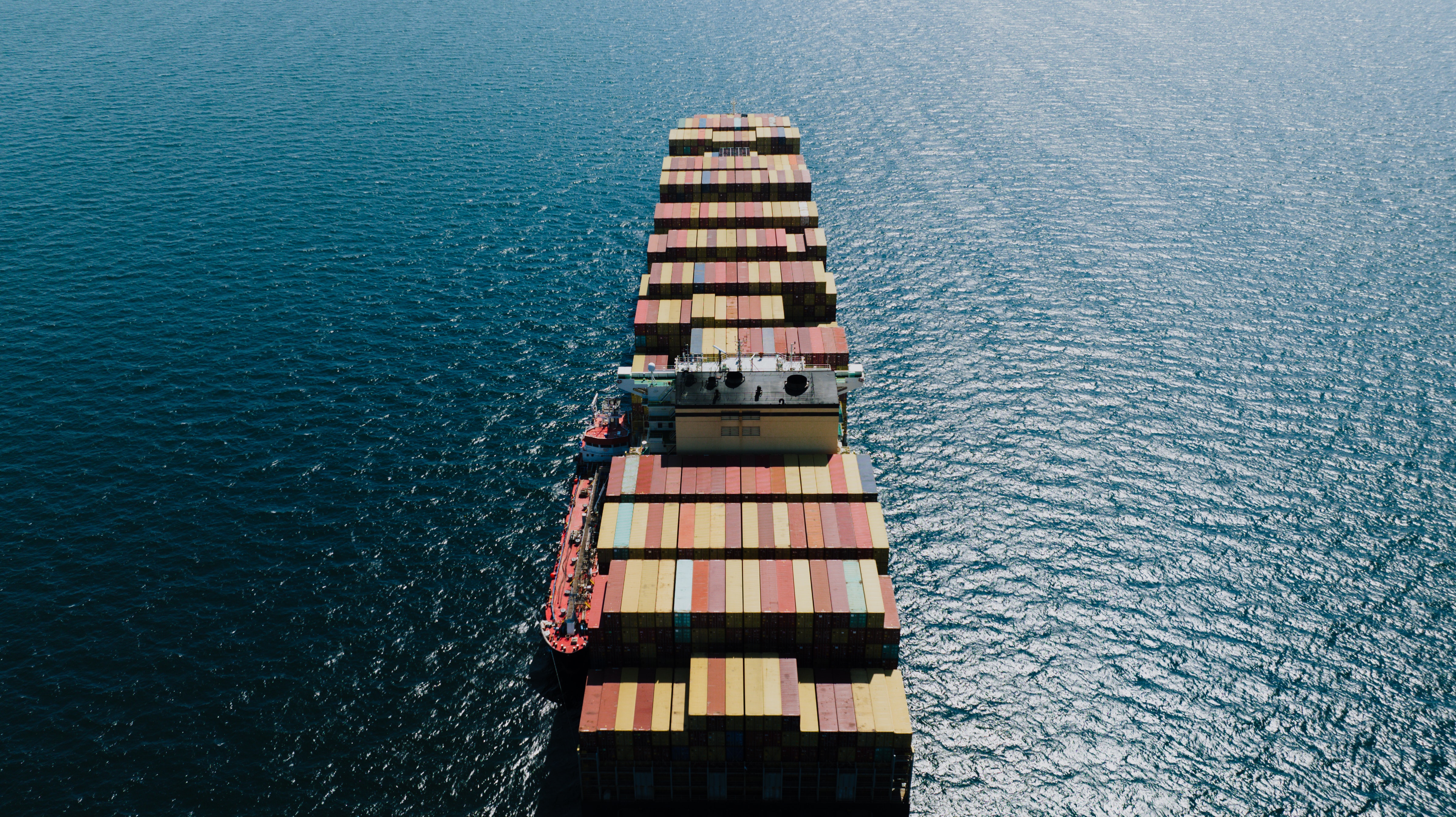 Global beef markets: Lower demand in most regions and diverging prices to affect exports