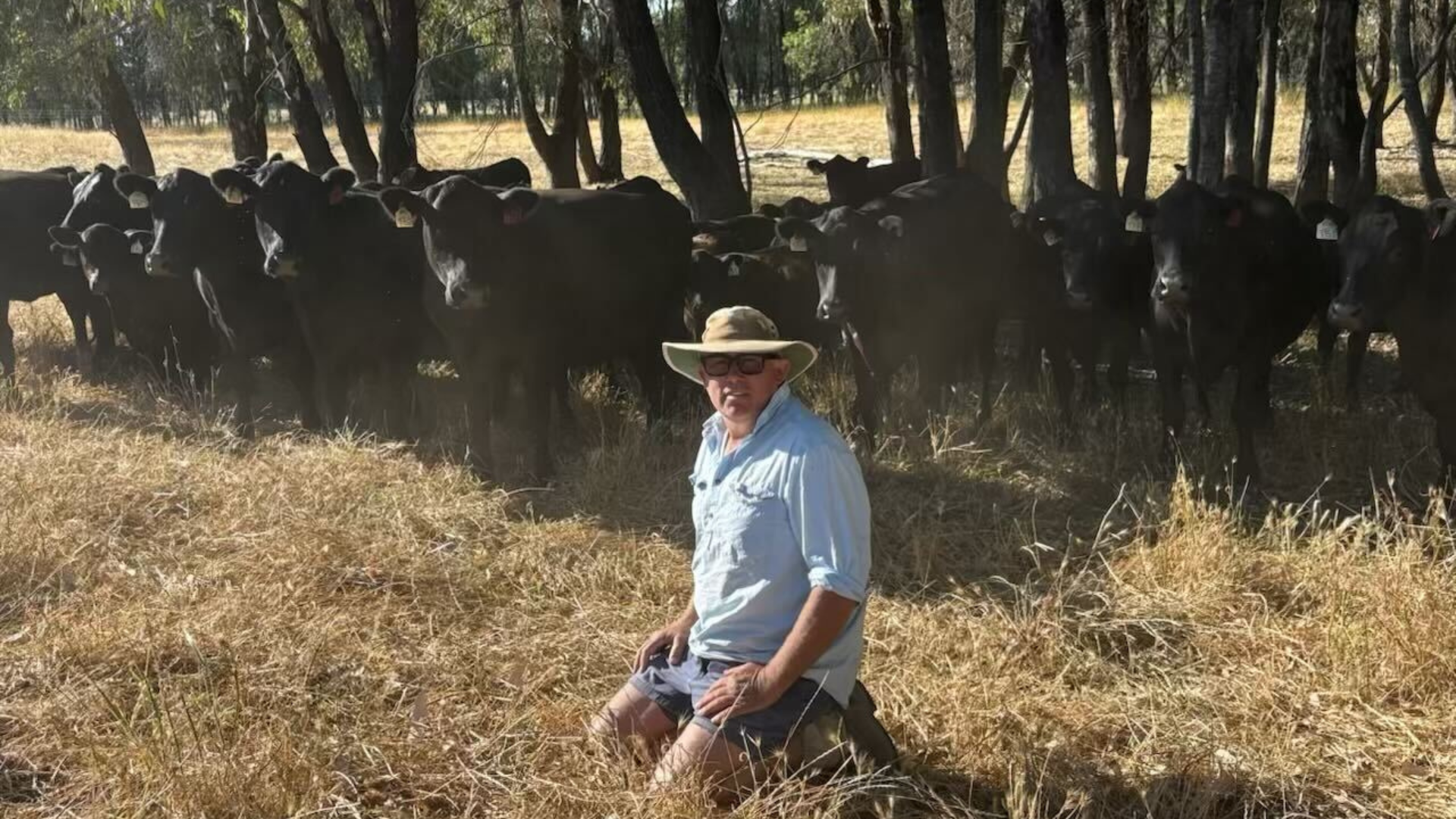 Vendor Profile: Andy Watson – Bungowannah, NSW