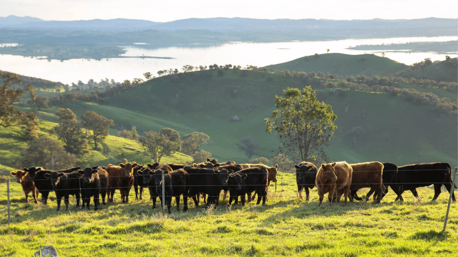 Farmland’s next decade to reward execution over ownership