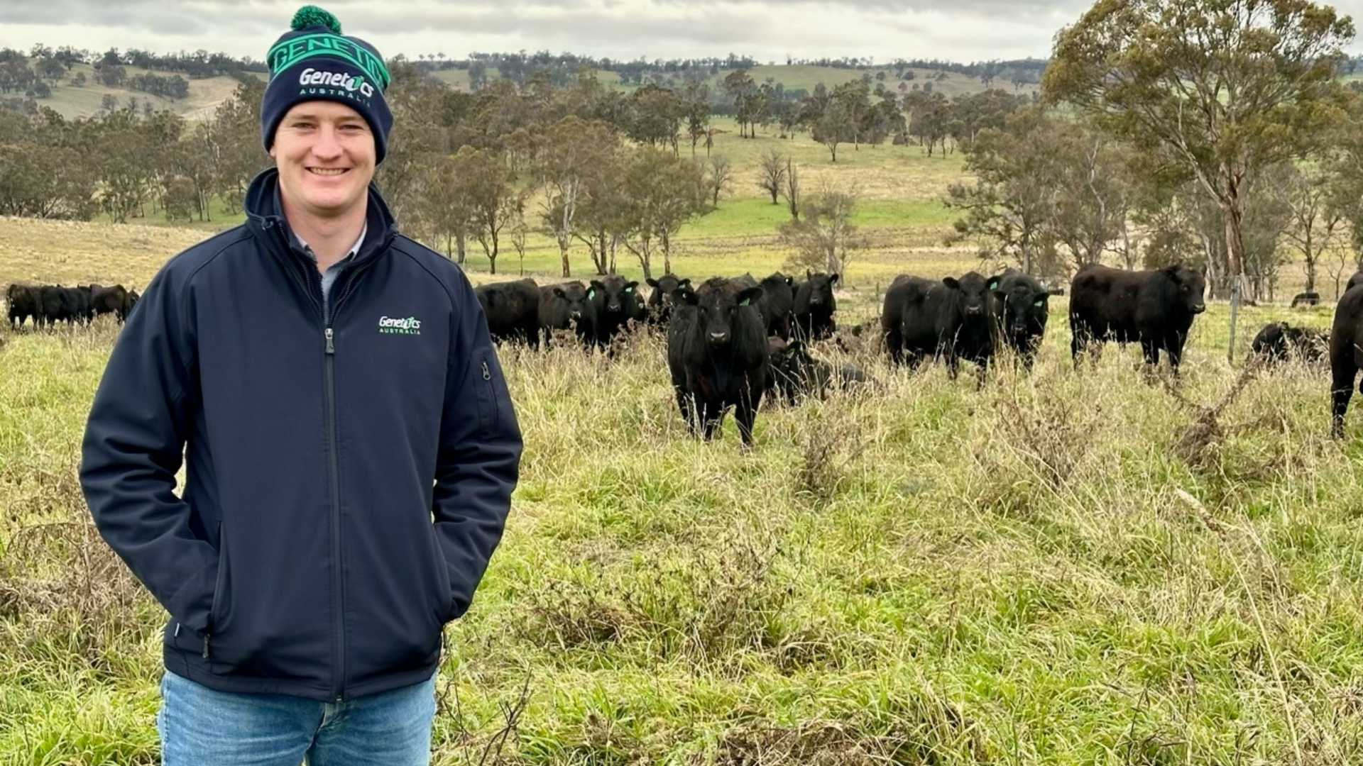 EBVs now integrated into AuctionsPlus Angus stud sale catalogues