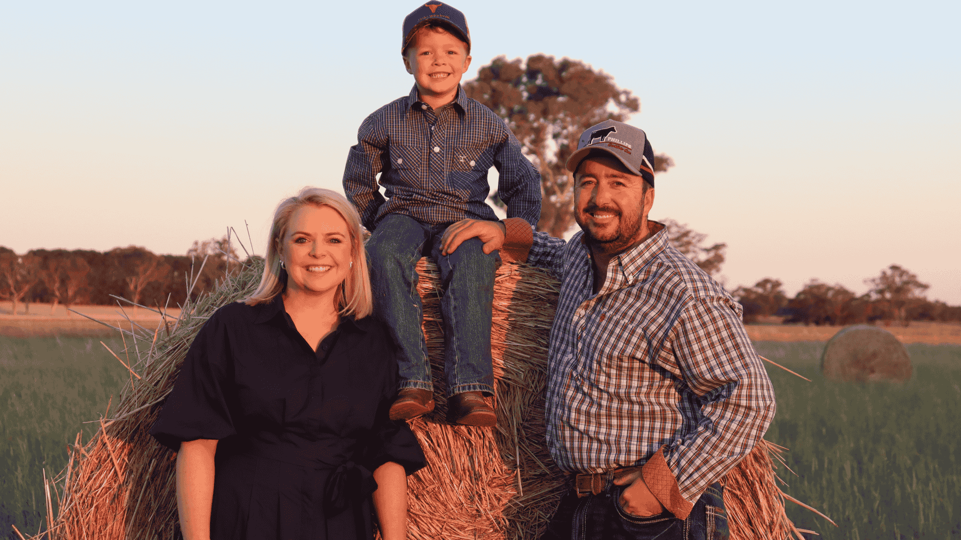 Achmea farm insurance launches stud stock insurance portal: insure your bulls and rams in minutes