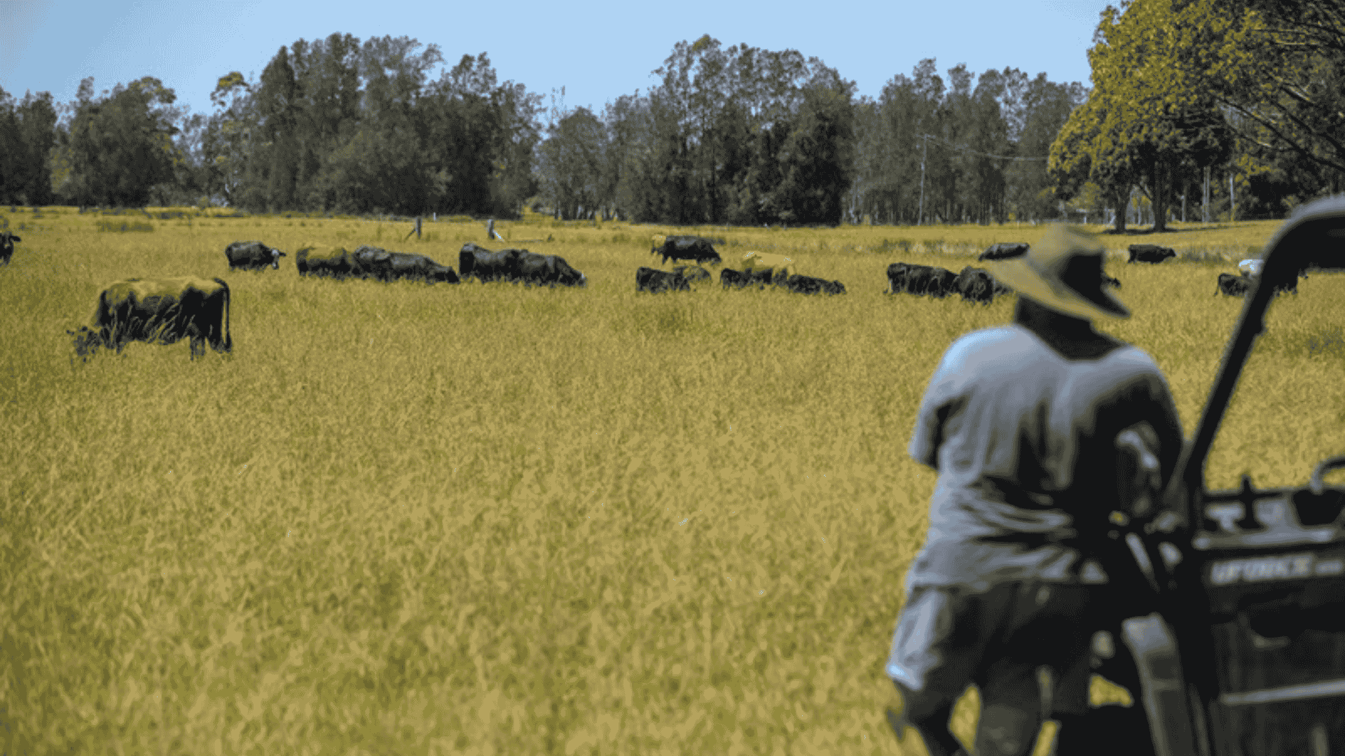 First time in 36 years: Nabiac’s Riverview Farm hits the market with multi-income potential