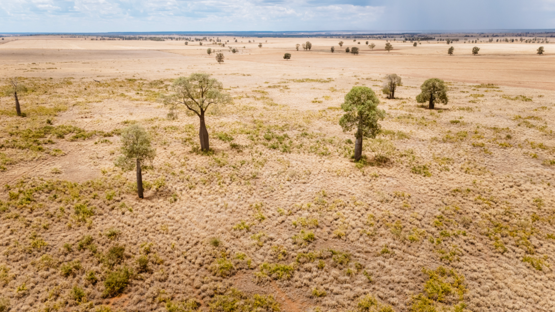 Gina Rinehart’s Rockybank aggregation sells after foreign land tax dispute