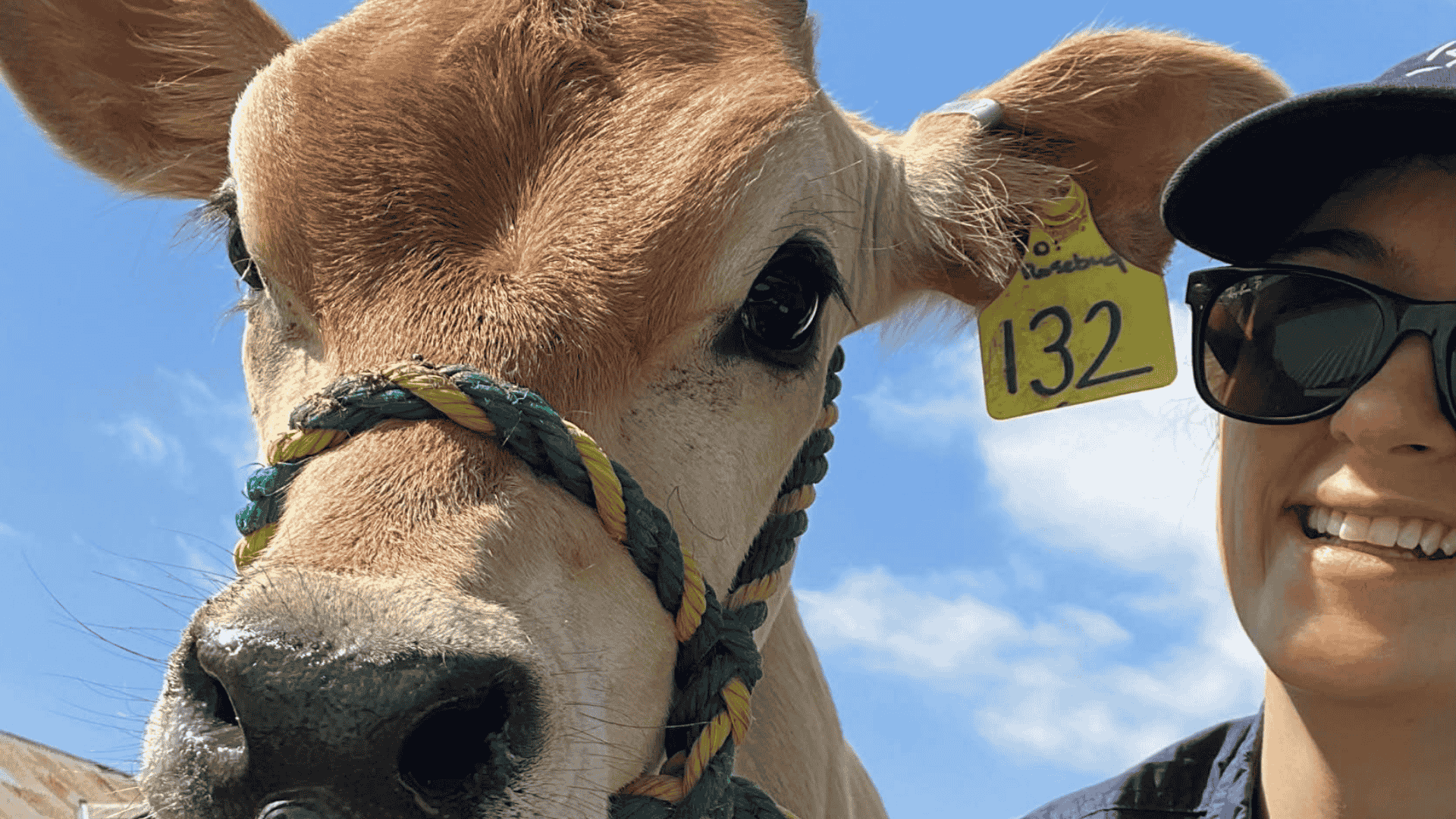 From solicitor to mastitis science, meet Tiarna Scerri