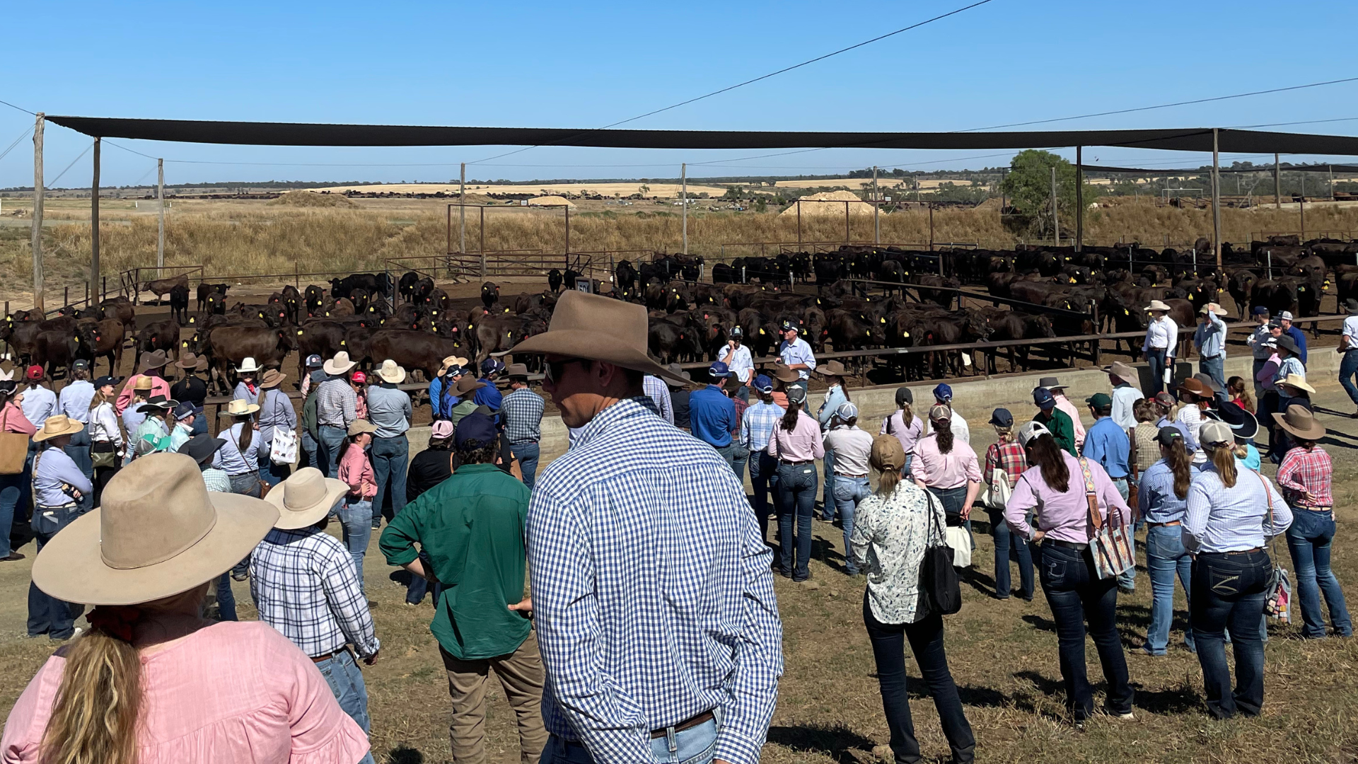 Meet the next generation of beef leaders behind the YBPF 2025