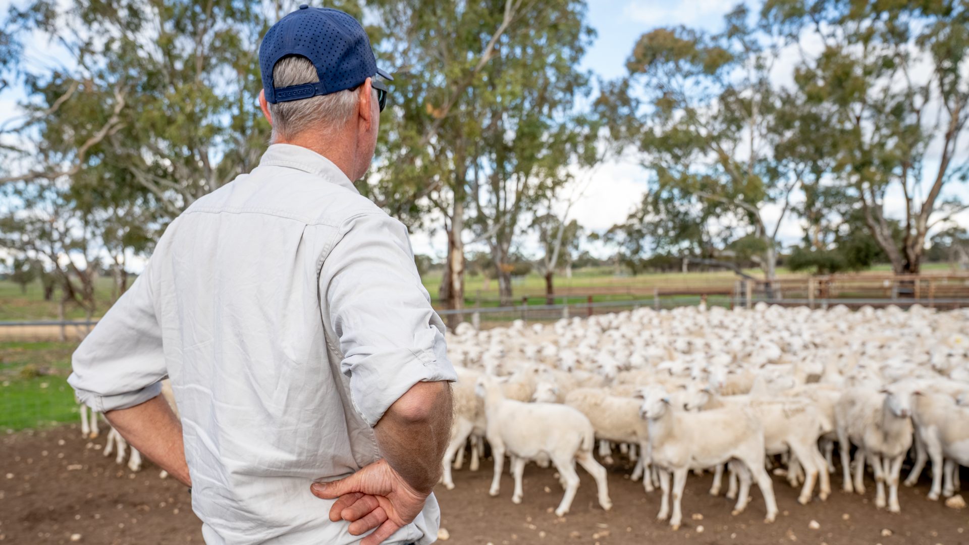 Does weighing more of the mob increase value?