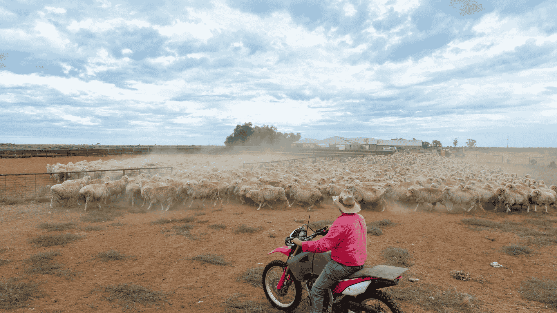 Drought continues but farmers find 'paydirt' at last