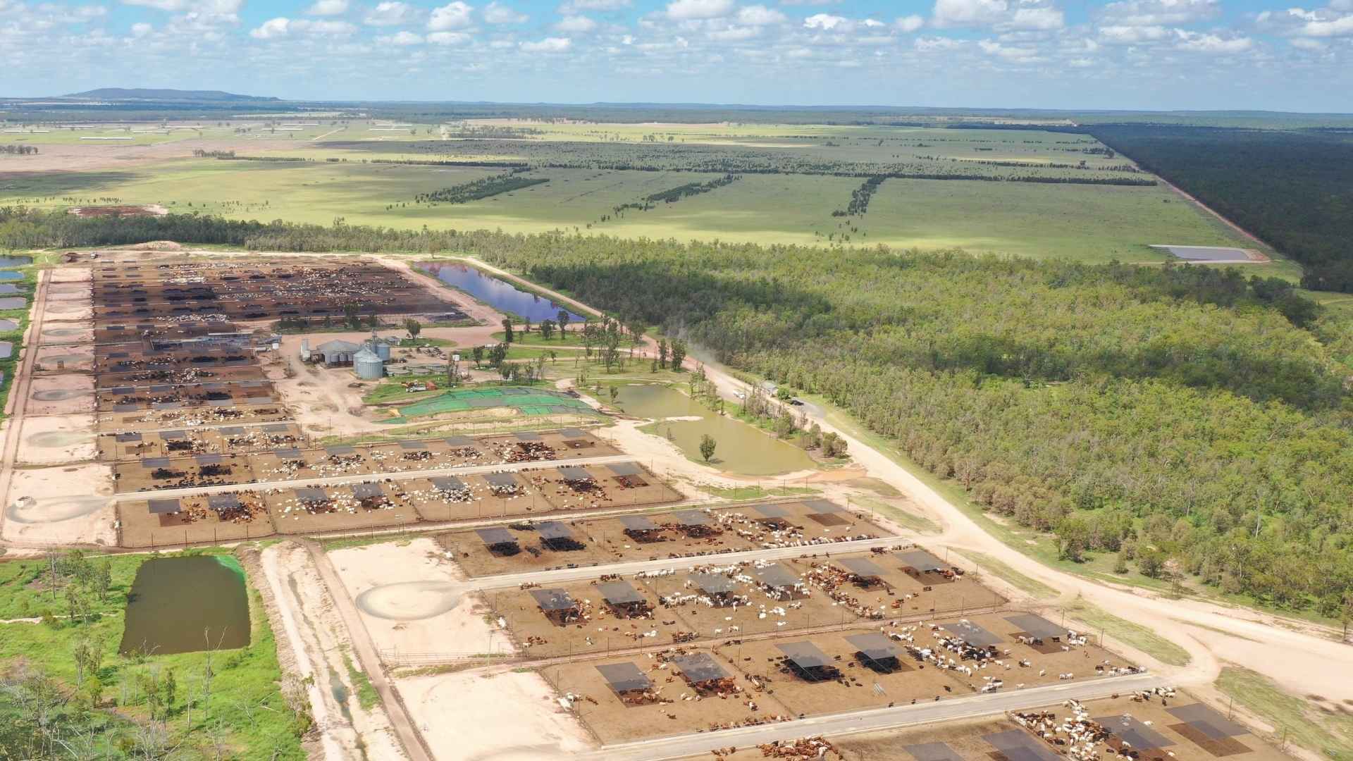 Feedlots, red meat and secure water assets underpin steady farmland outlook for 2026