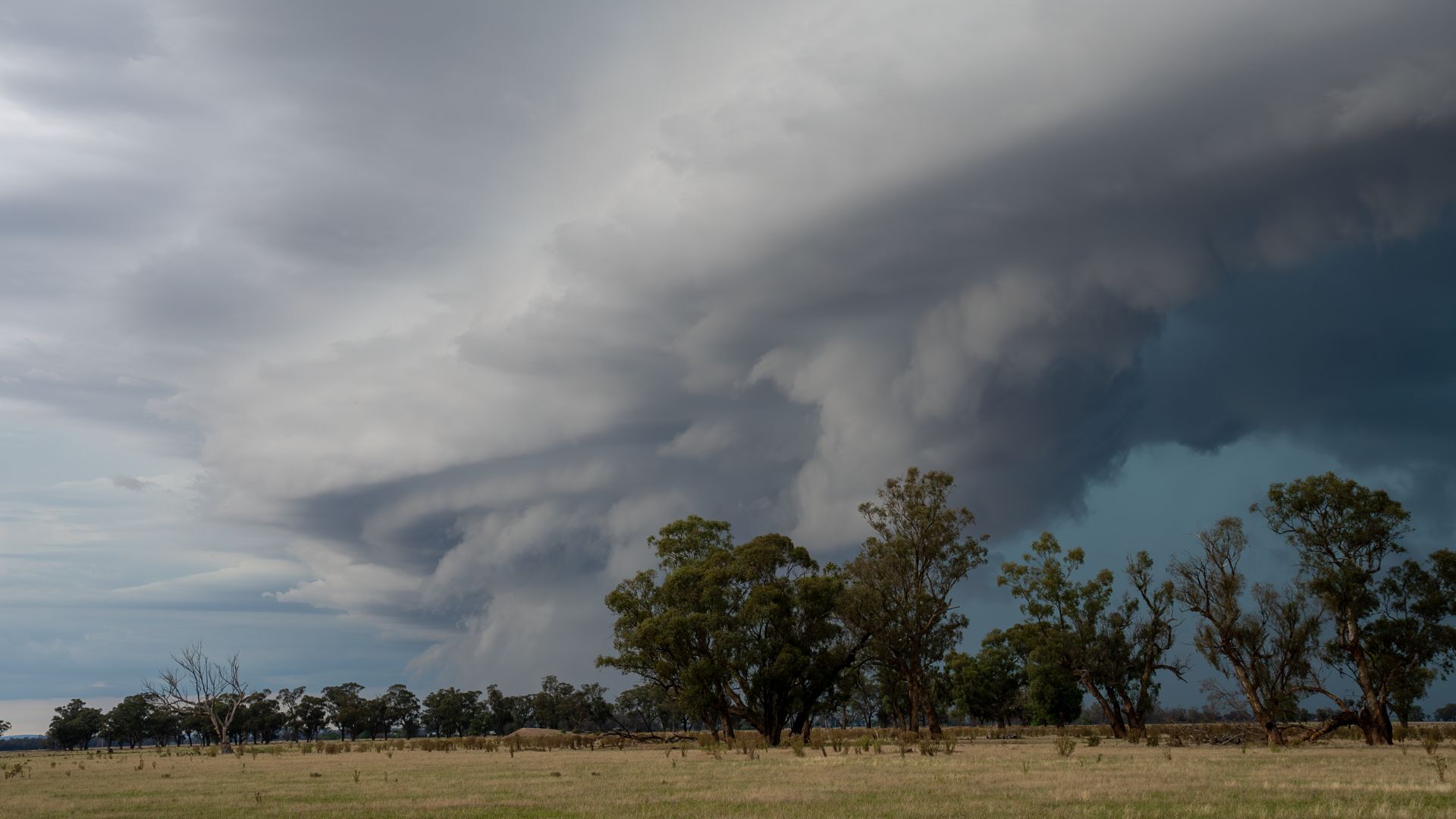 Storm of complaints hits Bureau of Meteorology after website revamp