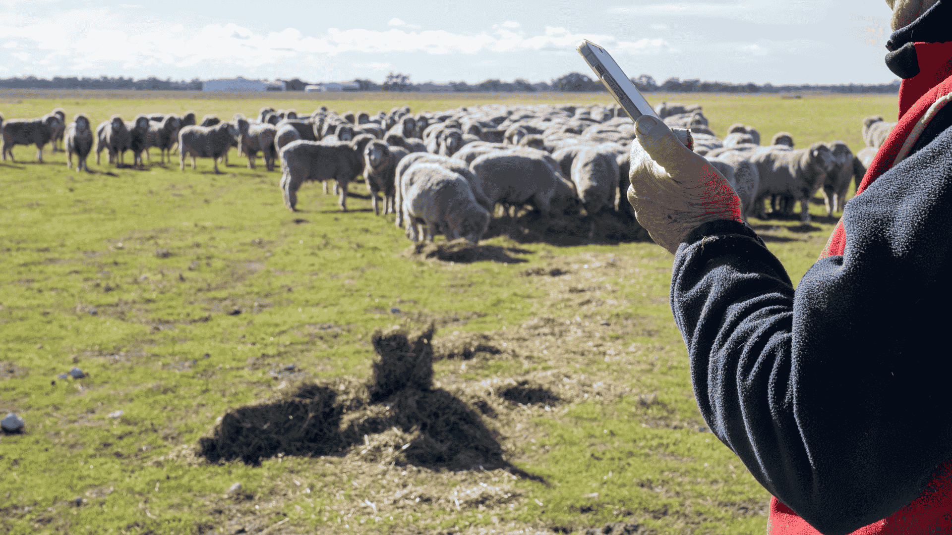 Margin insight made simple with AuctionsPlus’ new Trade and Finance Calculator