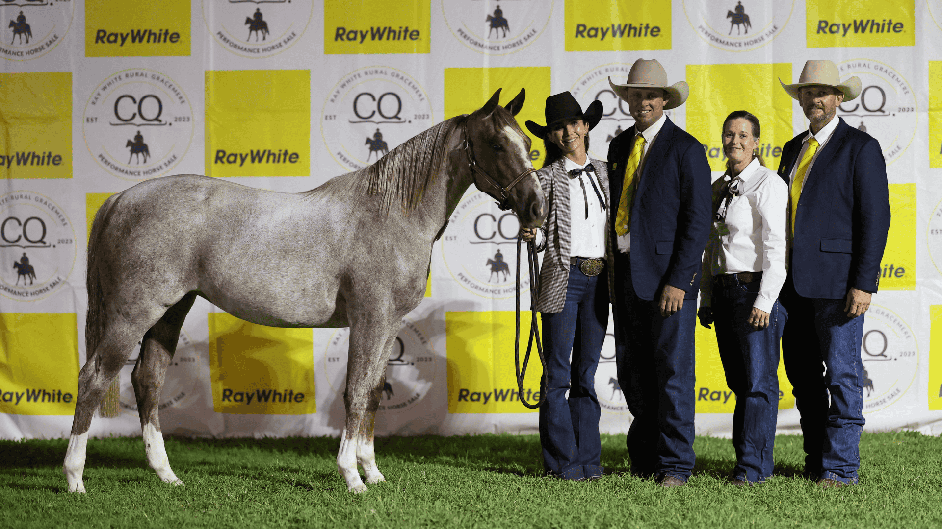 CQ Performance Sale doubles yearling top as online buyer secures $115,000 filly