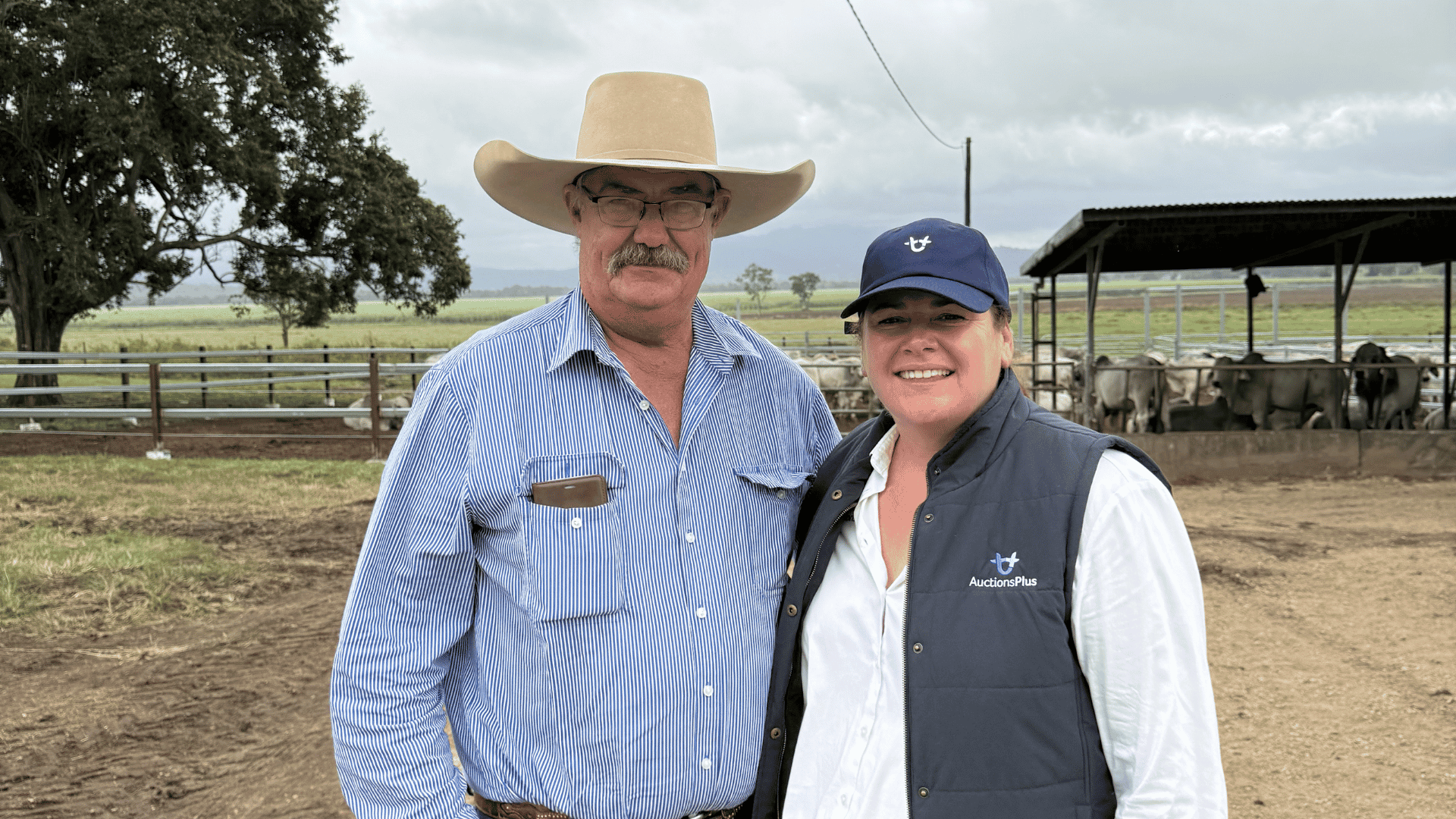 AuctionsPlus and ABBA launch industry-first online herd bull selling platform