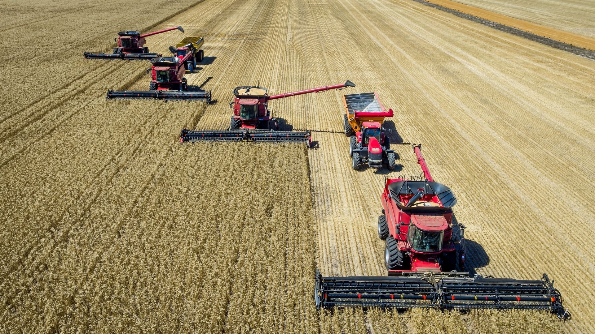 Harvest, hay and yields