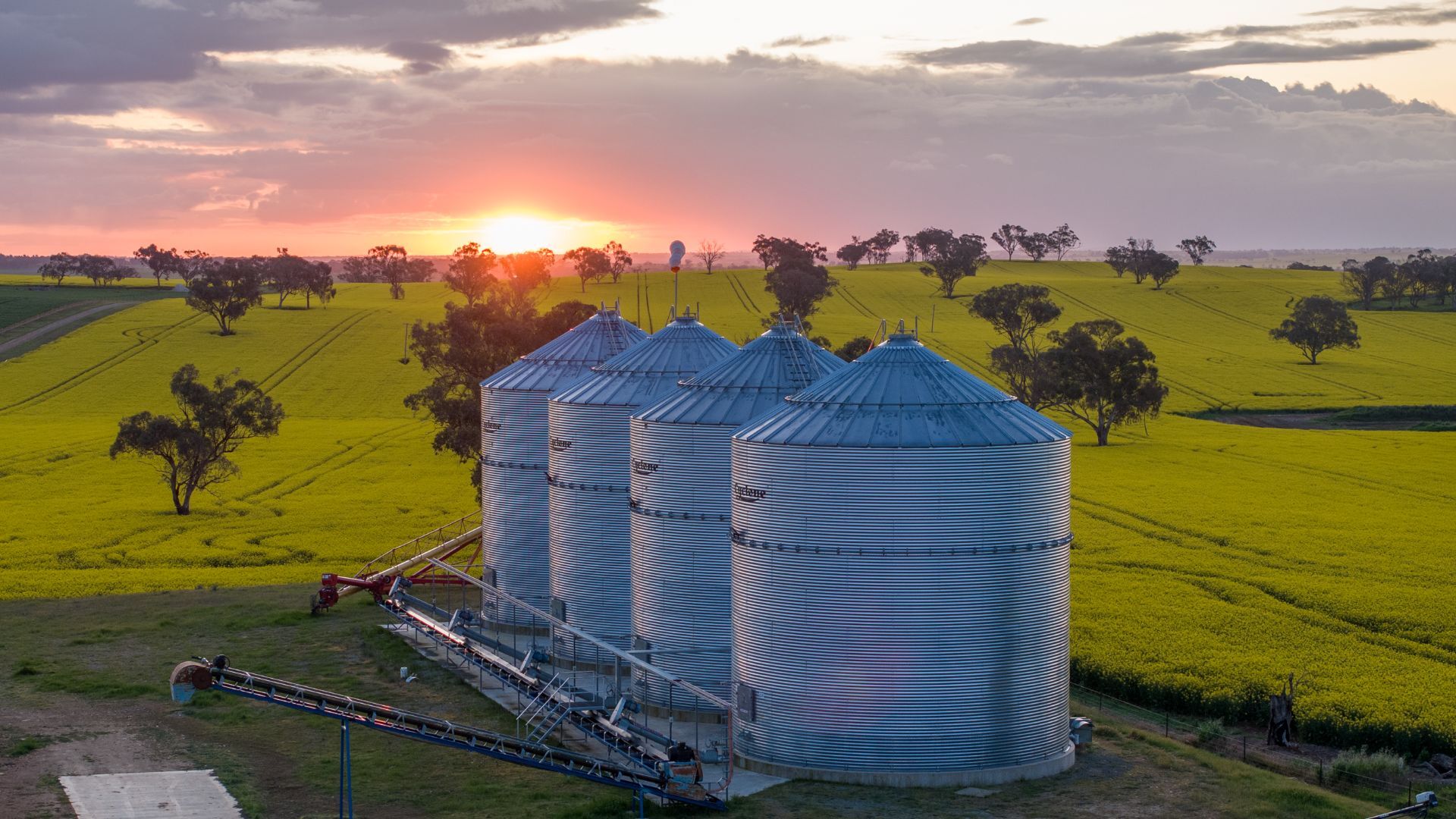 After 12 years of growth, Australian farmland values plateau amid falling transactions
