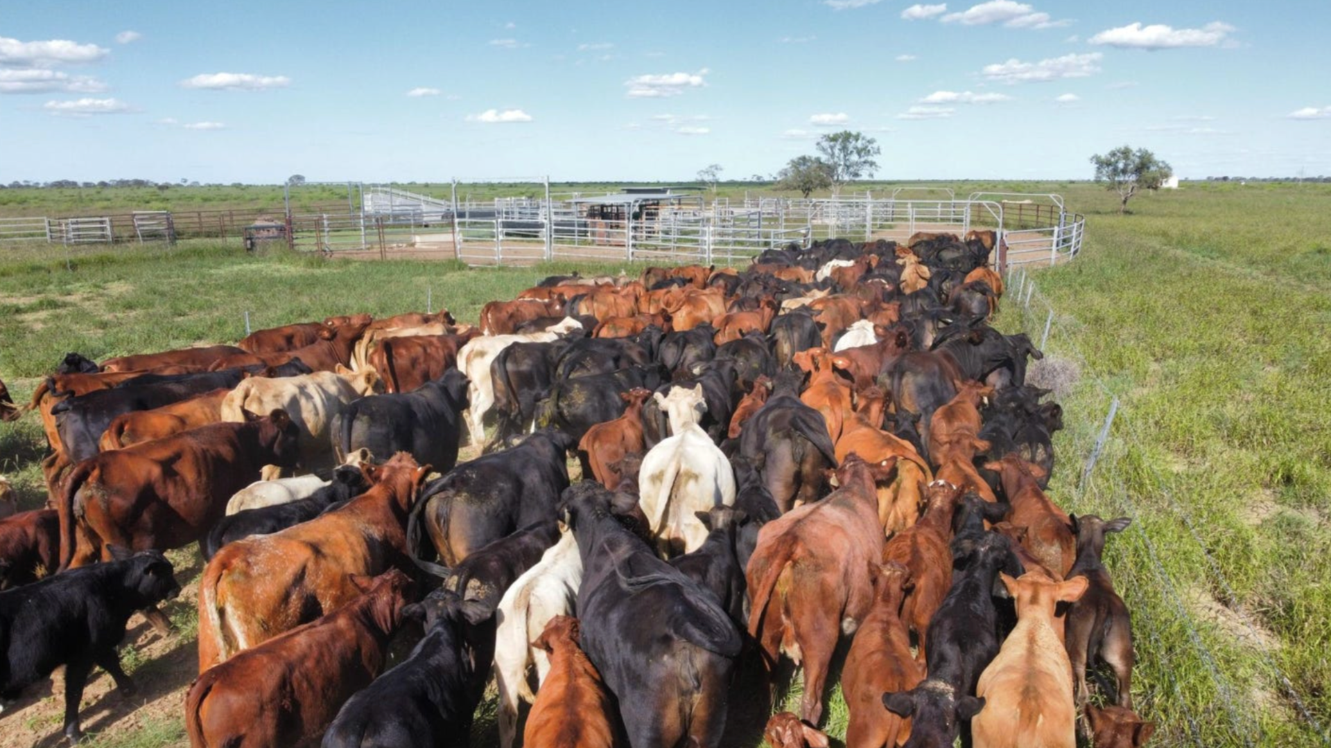 $12 million Barcaldine sale sets new price benchmark