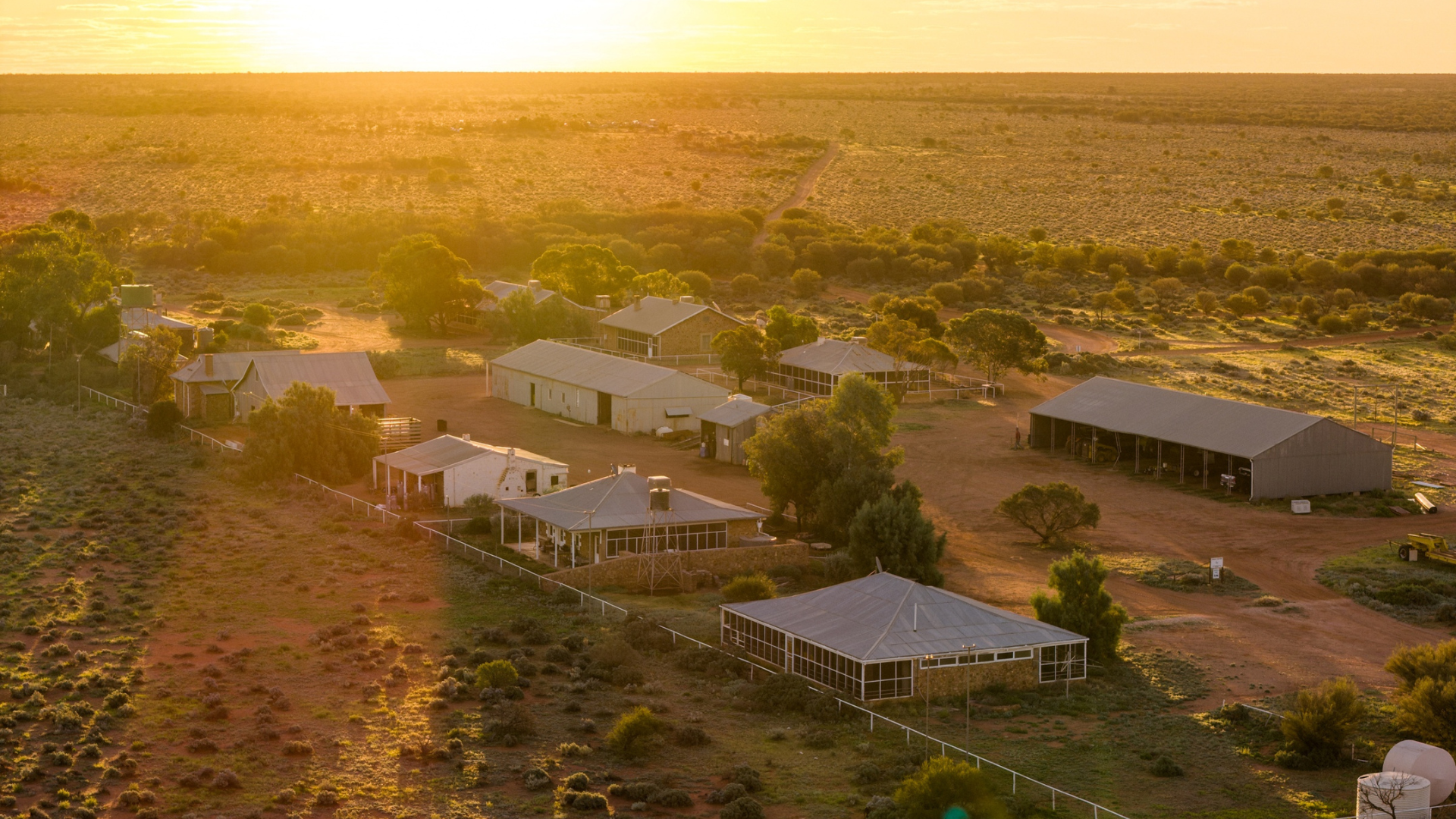 World's largest contiguous sheep station sold to South Australian investment family