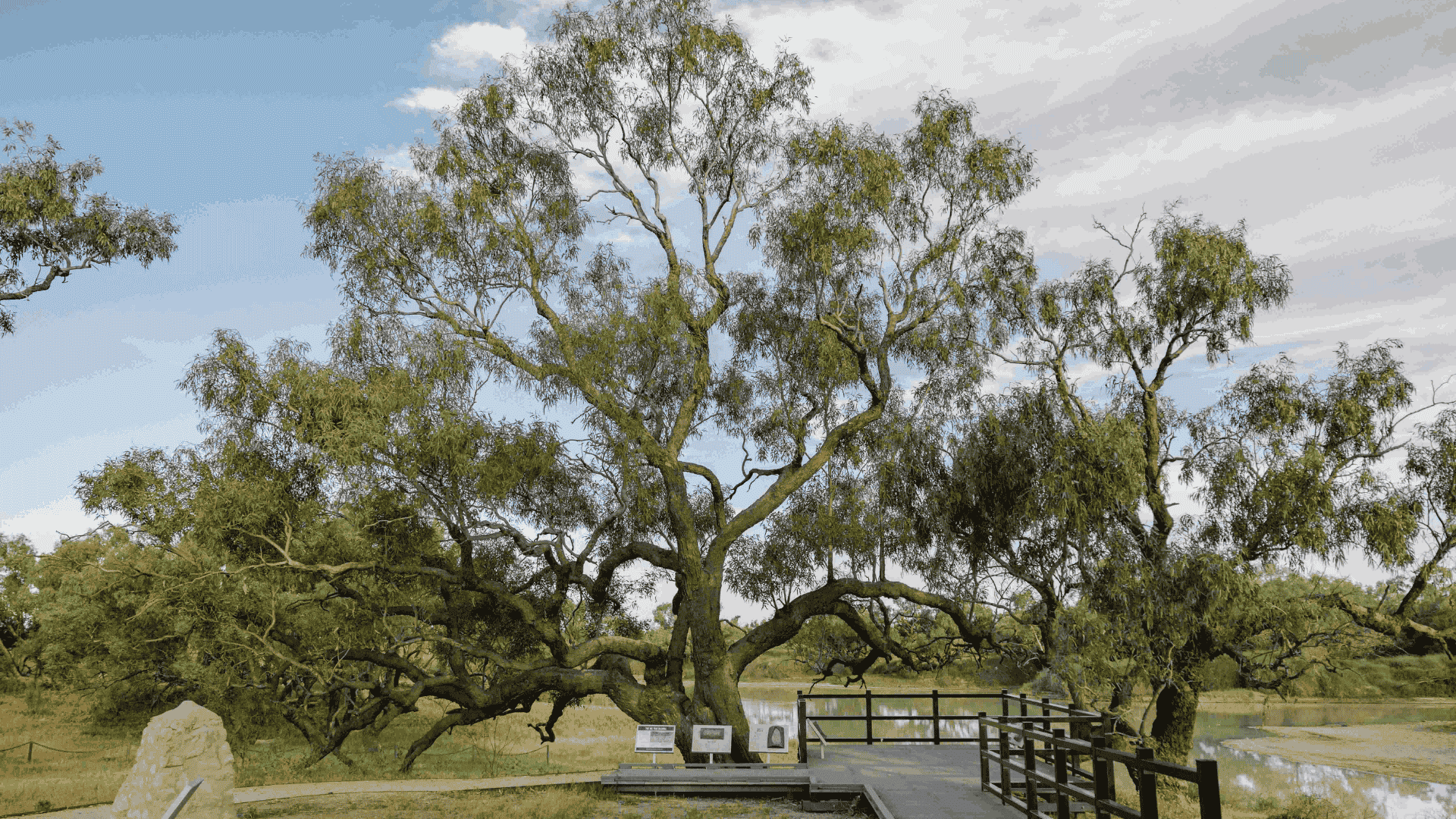 Famous Queensland station home to explorers’ ‘Dig Tree’ up for grabs
