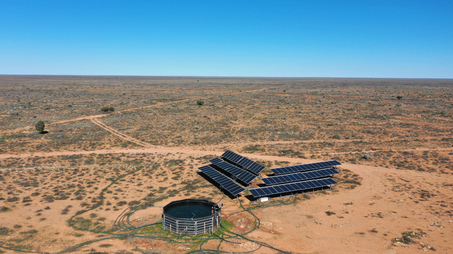 Pastoral powerhouse Madura Plains comes to market in rare offering