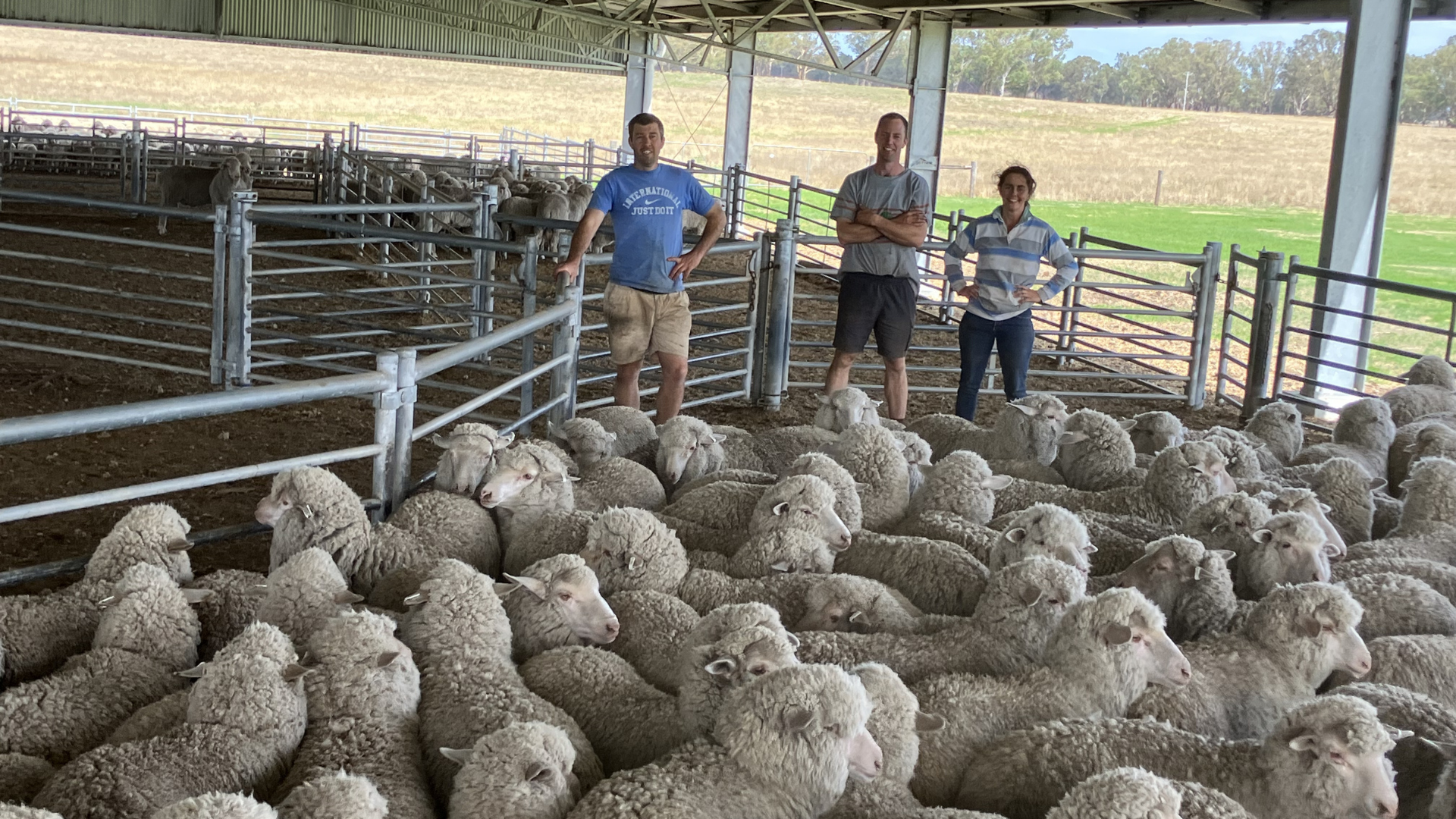 Investment in safety delivers productivity gains for Edenhope family farm