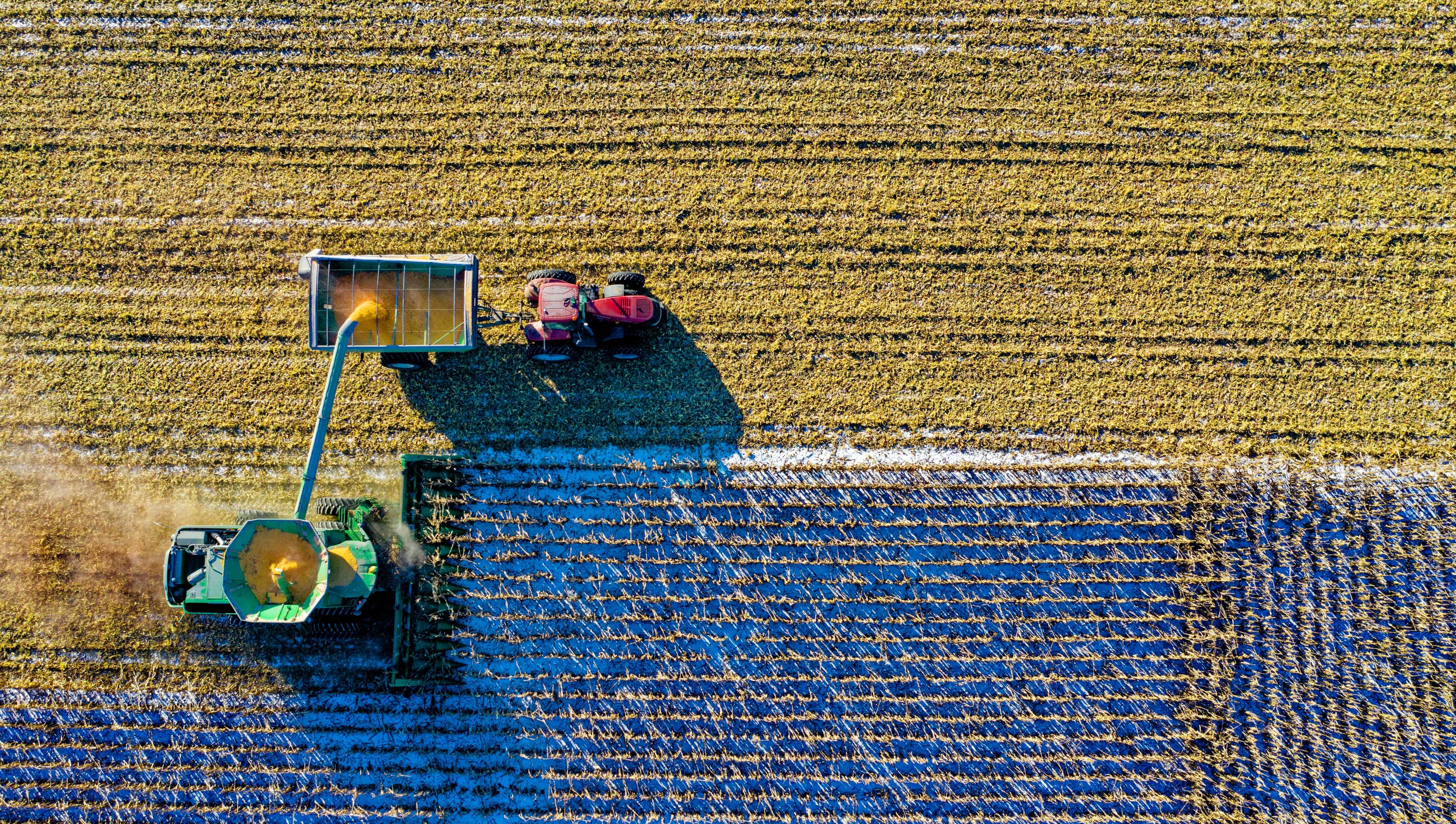 Global food commodity prices set to ease in 2024