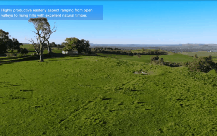 Property Roundup: $250m Kimberley Cattle country & $55m heavenly Holbrook