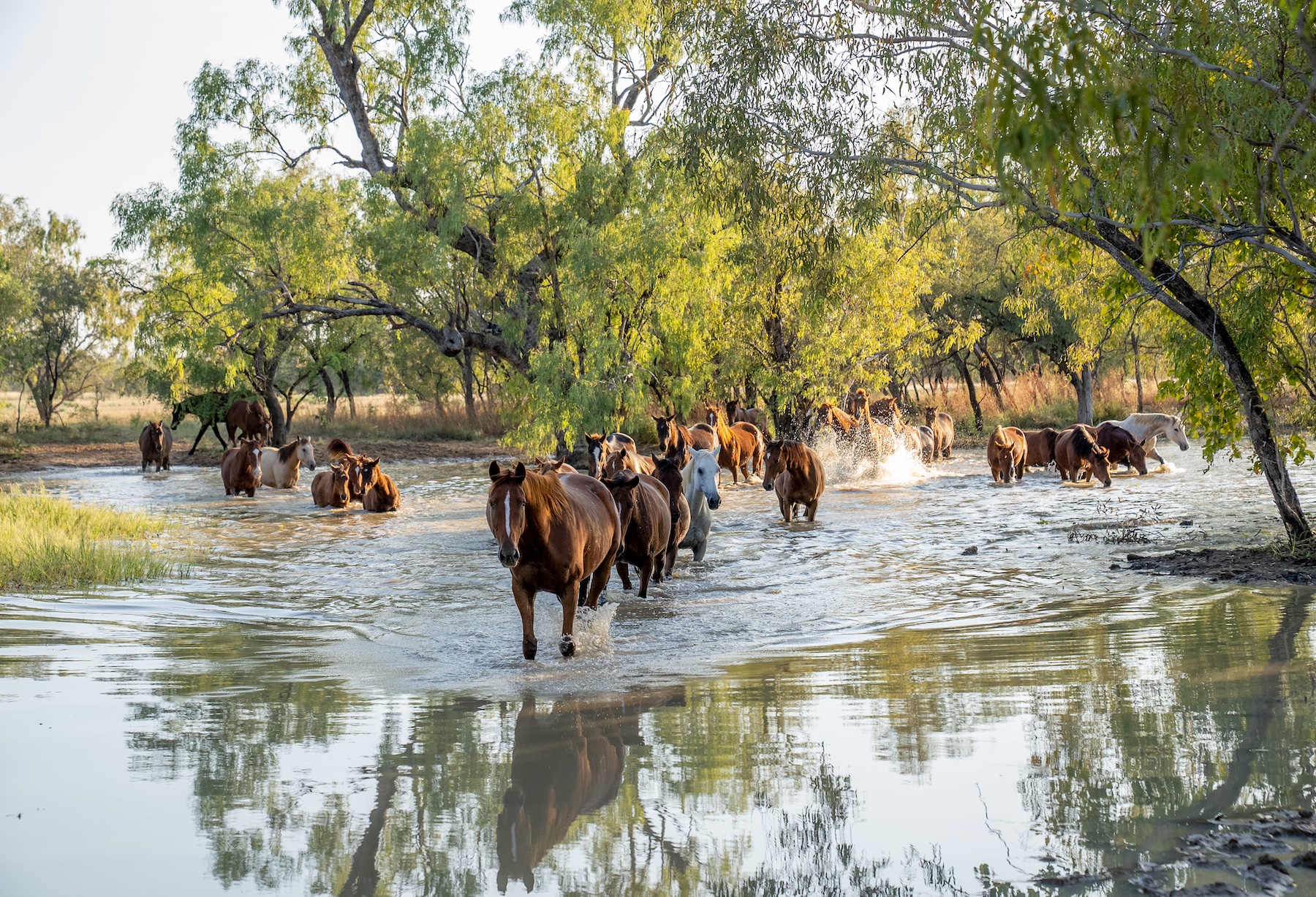 Xmas gift special: The best of Agrishots, available to buy