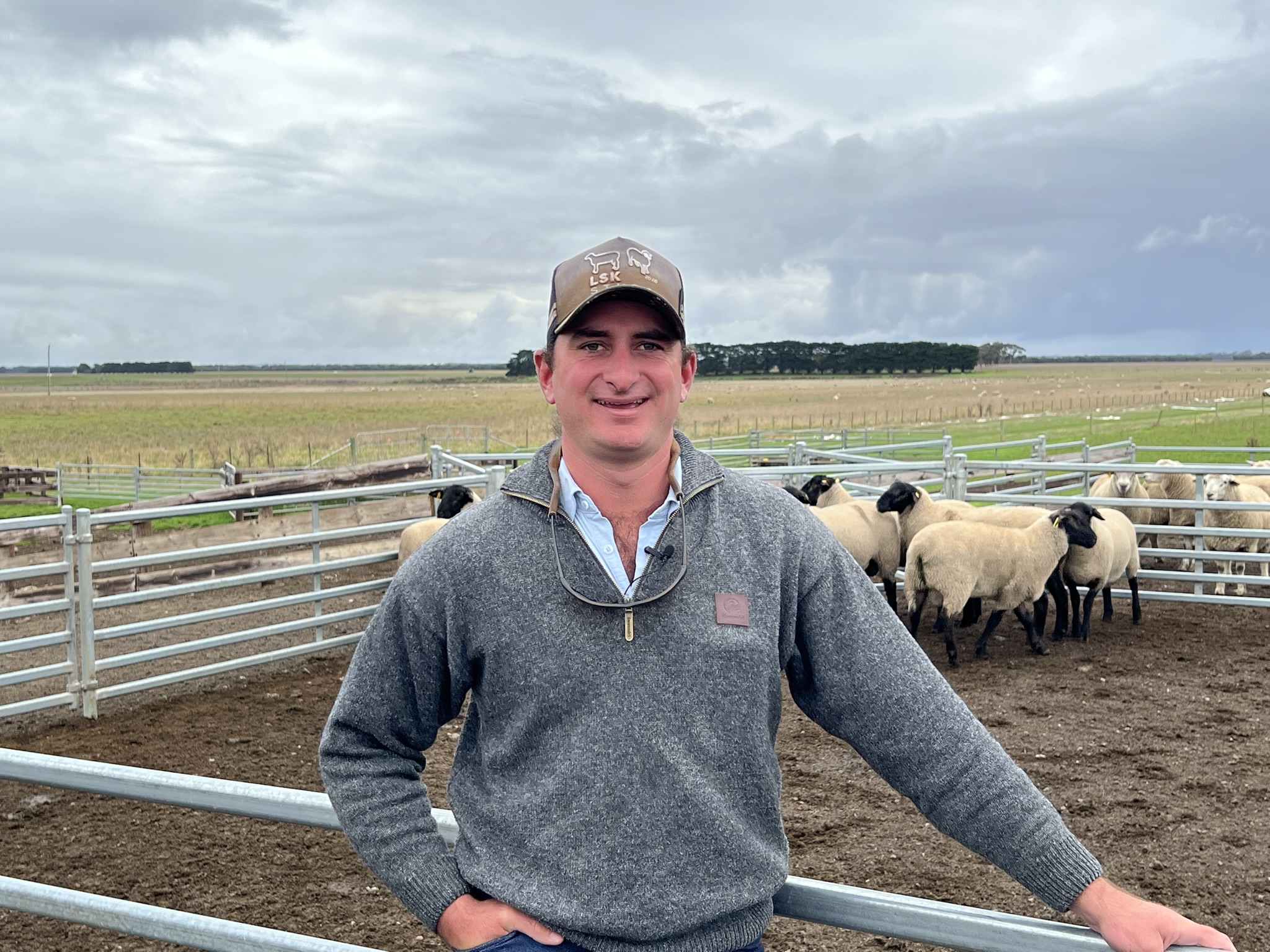 Lachie Kelly LSK Poll Dorset & Suffolk Studs