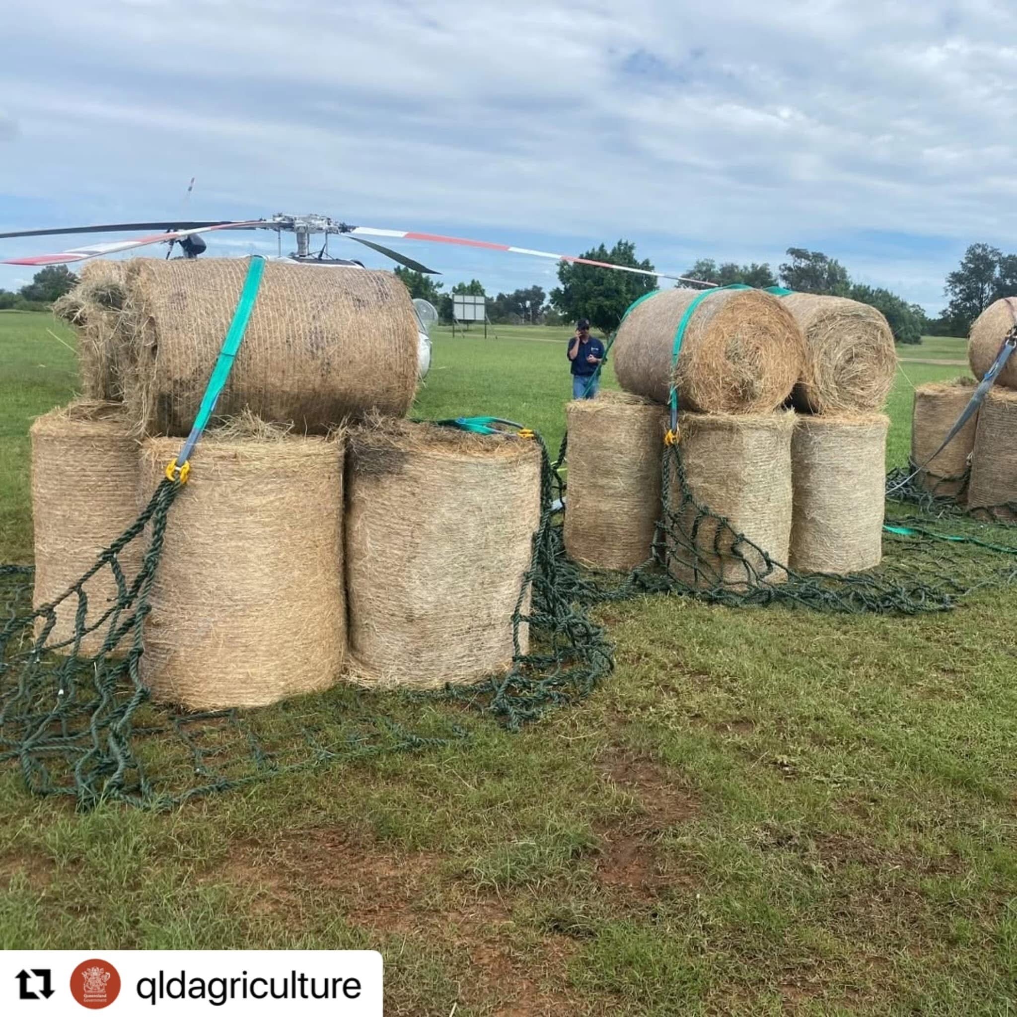 Turning devastation to determination in Western Queensland