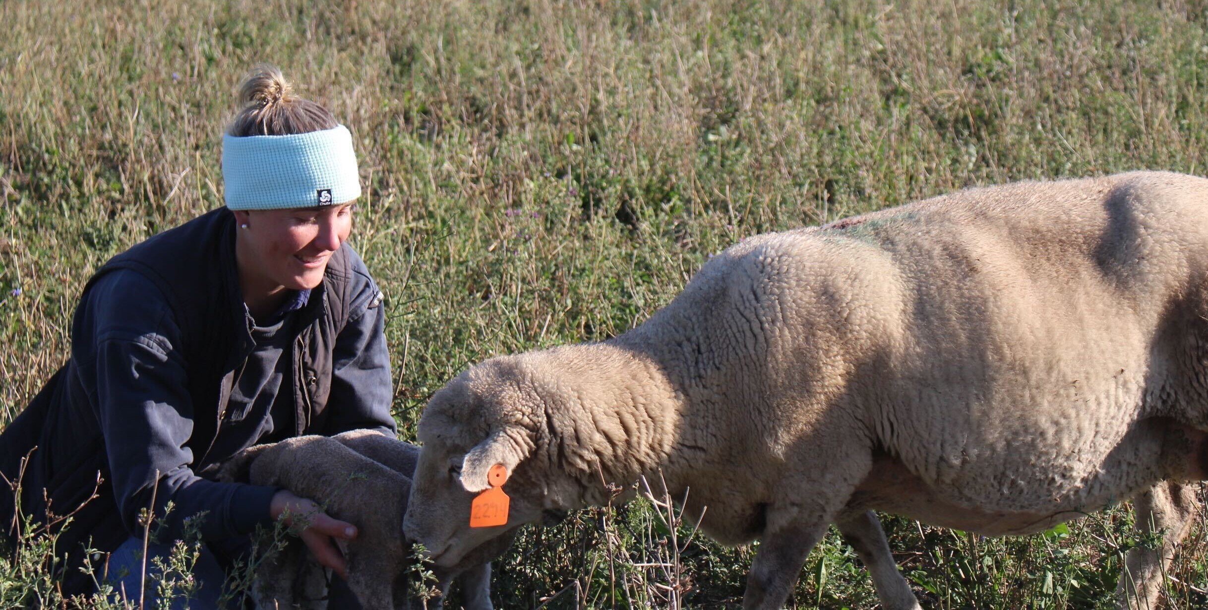 Young leader shining bright for Australia's lamb industry