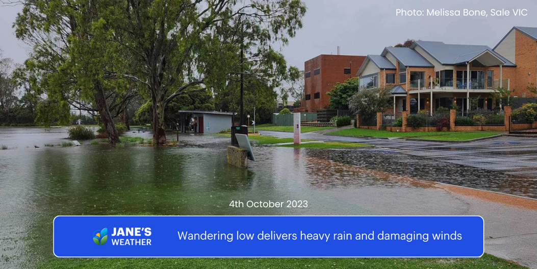 Jane Bunn: Wandering low delivers heavy rain and damaging winds