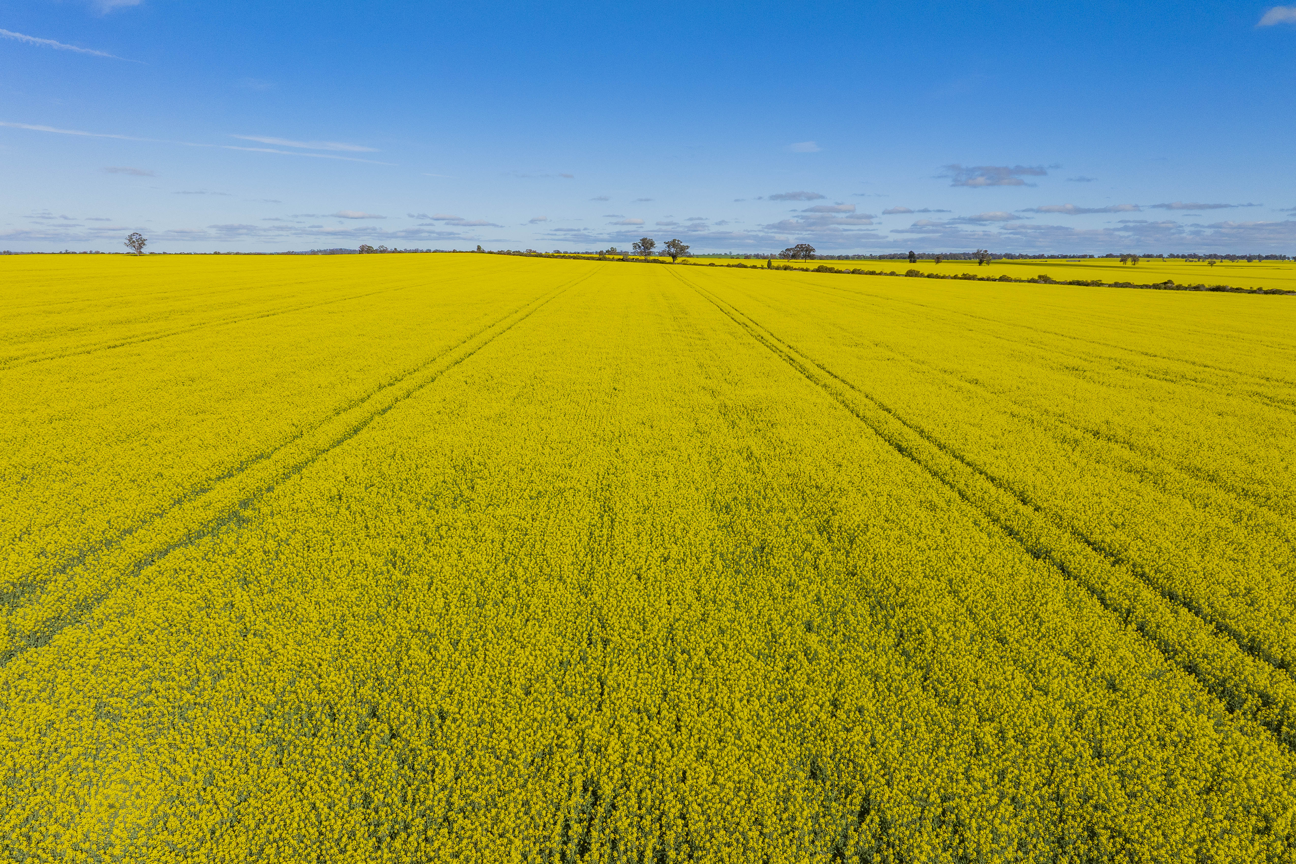 Tightly held Kilnyana offered for sale with $38 million price tag