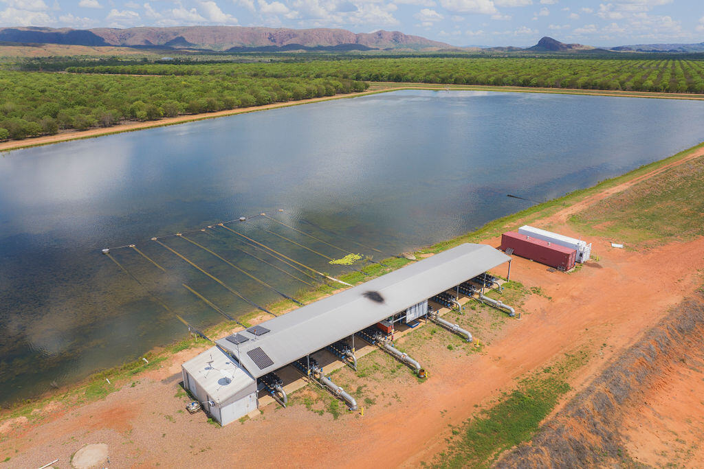 Prime opportunity: Agricultural development potential in East Kimberley