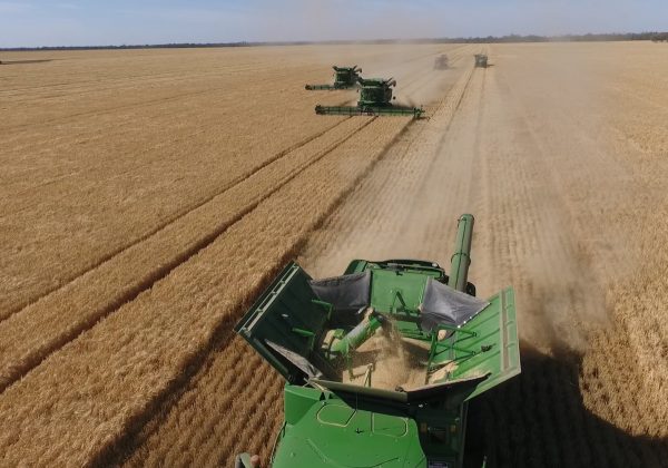 Lawson Grains may convert some cropping areas to livestock