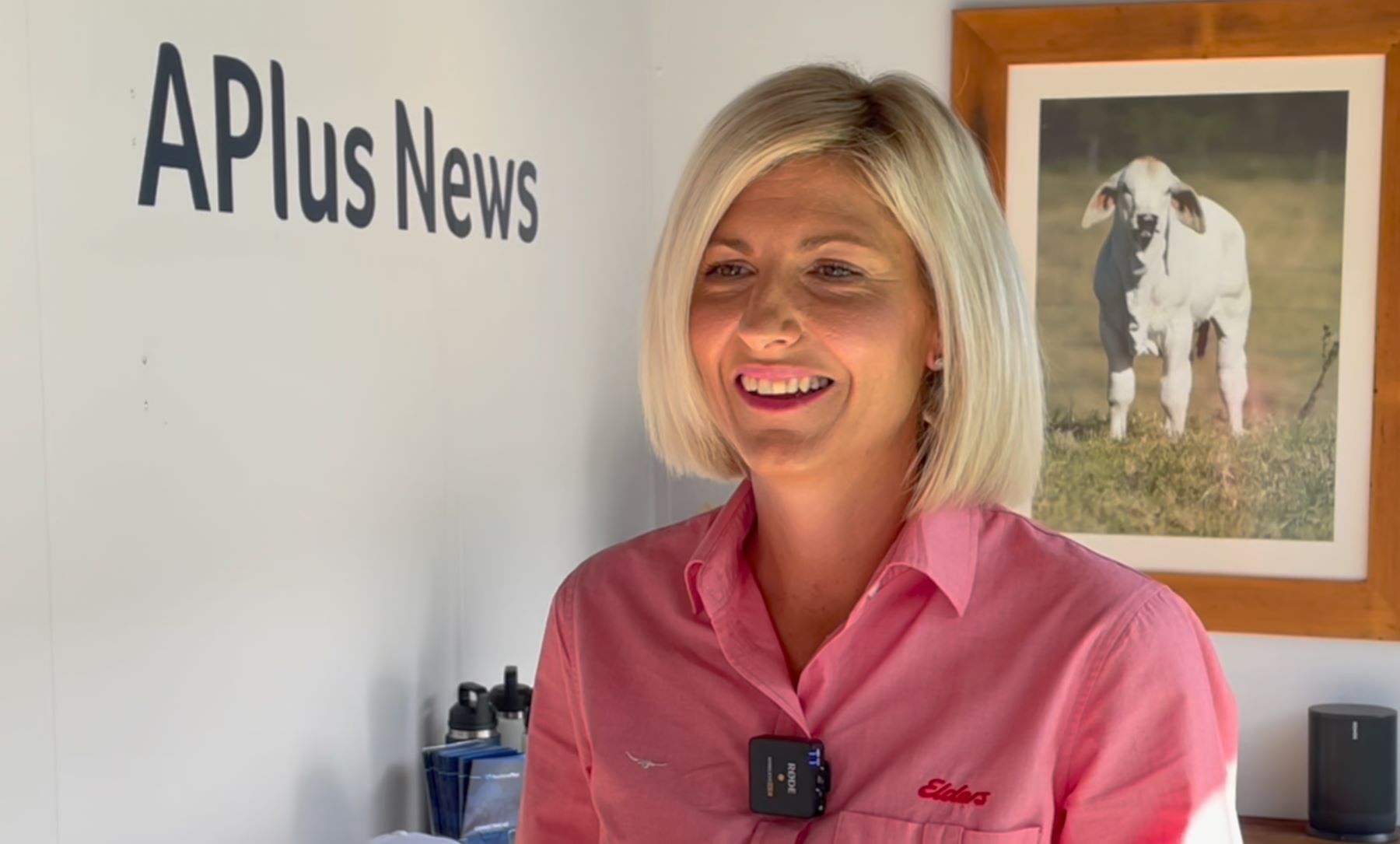 How Elders' Lisa Hewitt sees the future of the Northern livestock industry