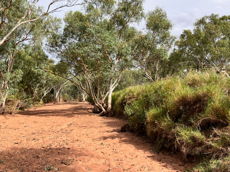 May Downs sells under the hammer for $47.5m in tightly held Mount Isa region