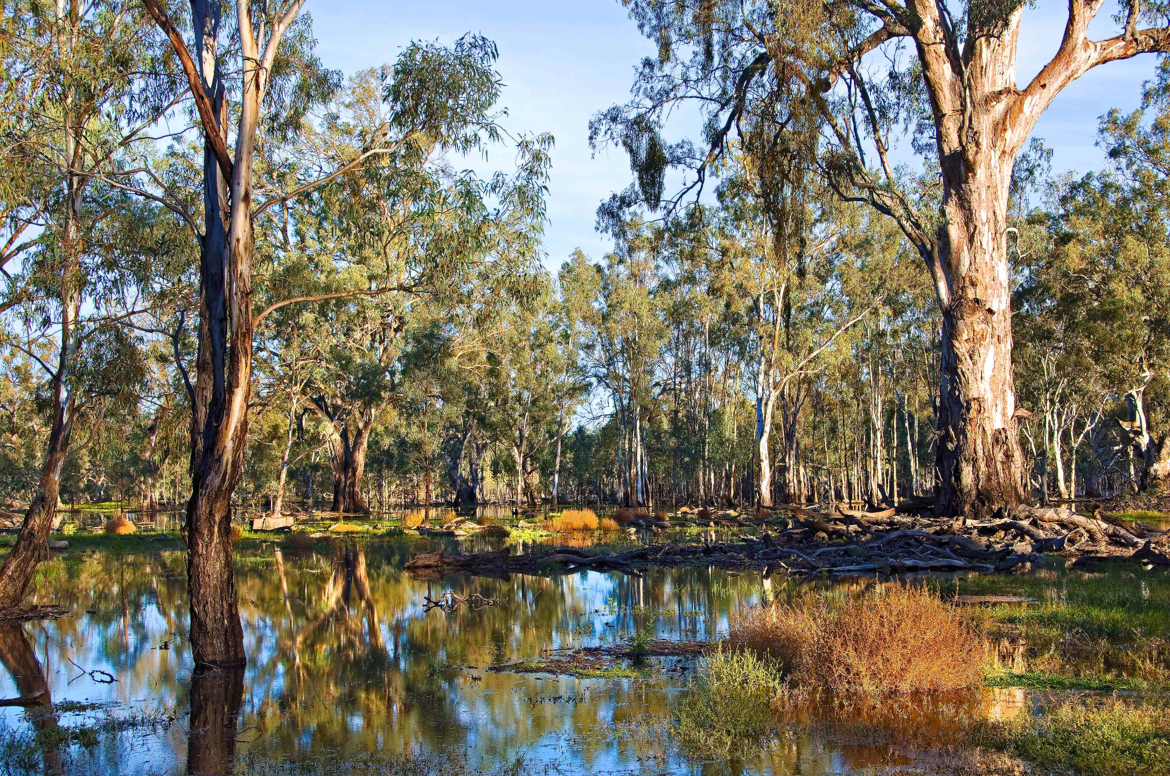 Murray-Darling water buybacks won’t be enough if we can’t get water to where it’s needed