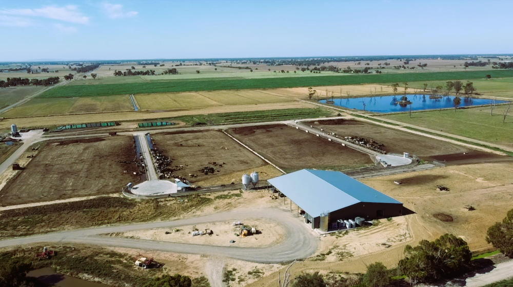 Future-proof farming: state-of-the-art robotic dairy hits the market in Northern Victoria