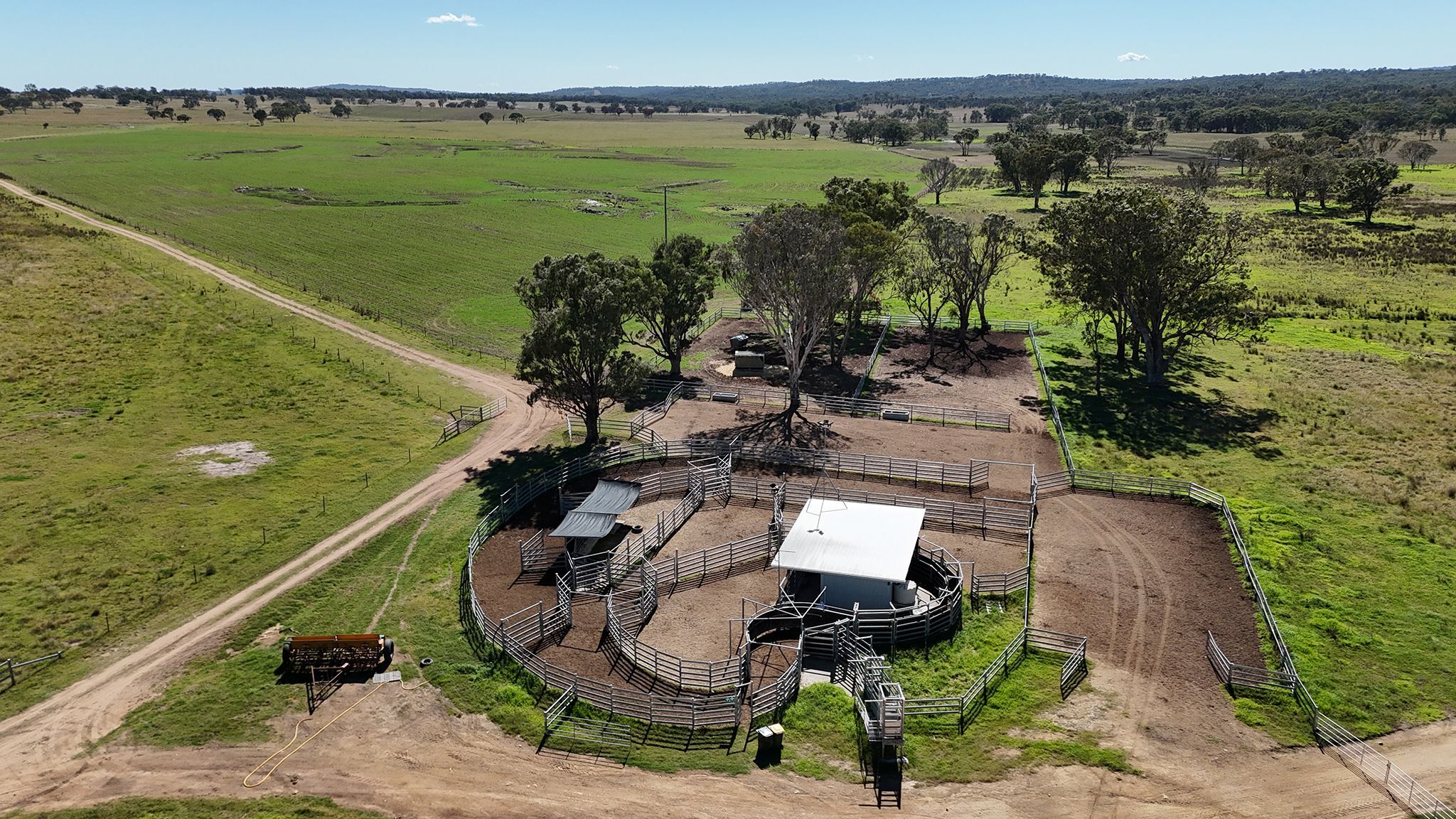 Palgrove lists two Queensland holdings to supercharge breeding program
