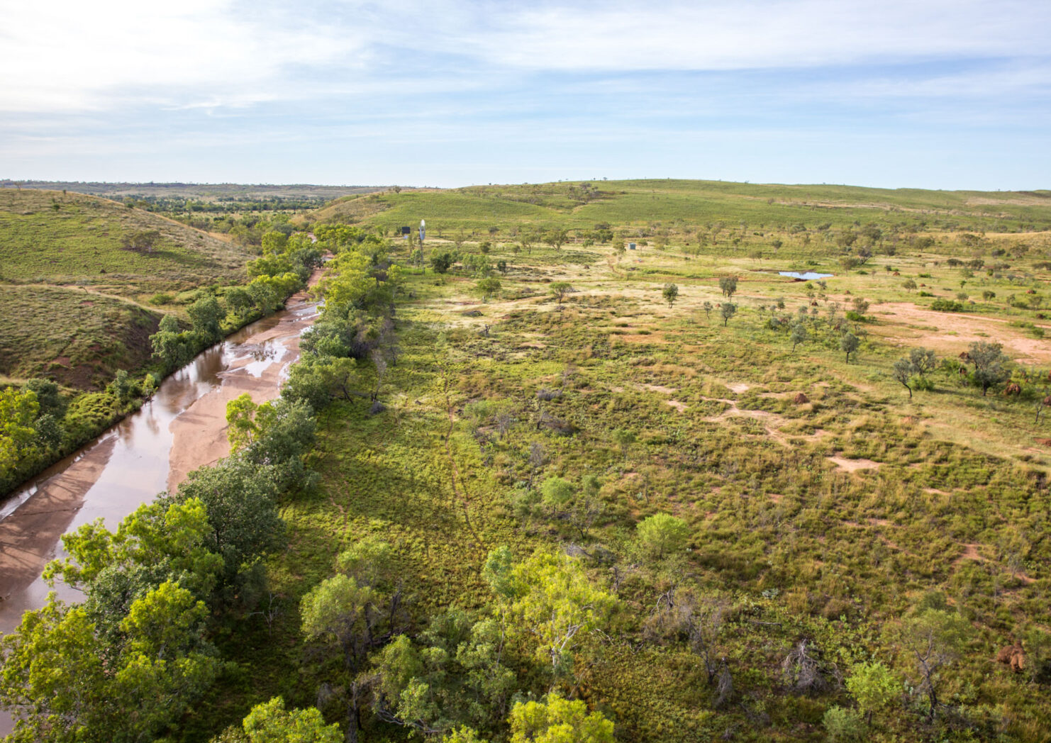 Property Roundup: Lawson's owner buys 2.9m ha WA cattle property