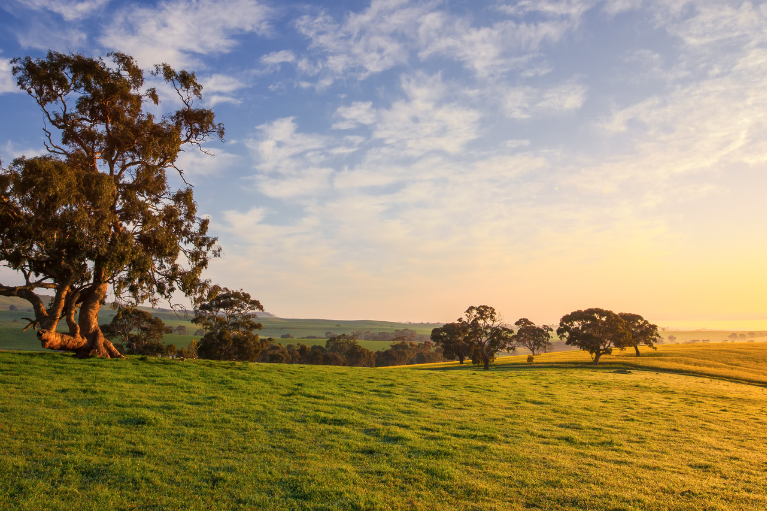 Property Outlook 2024