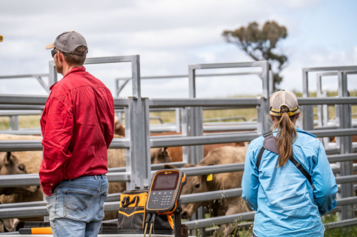 To attract the next generation, agriculture needs to do more than offer a job