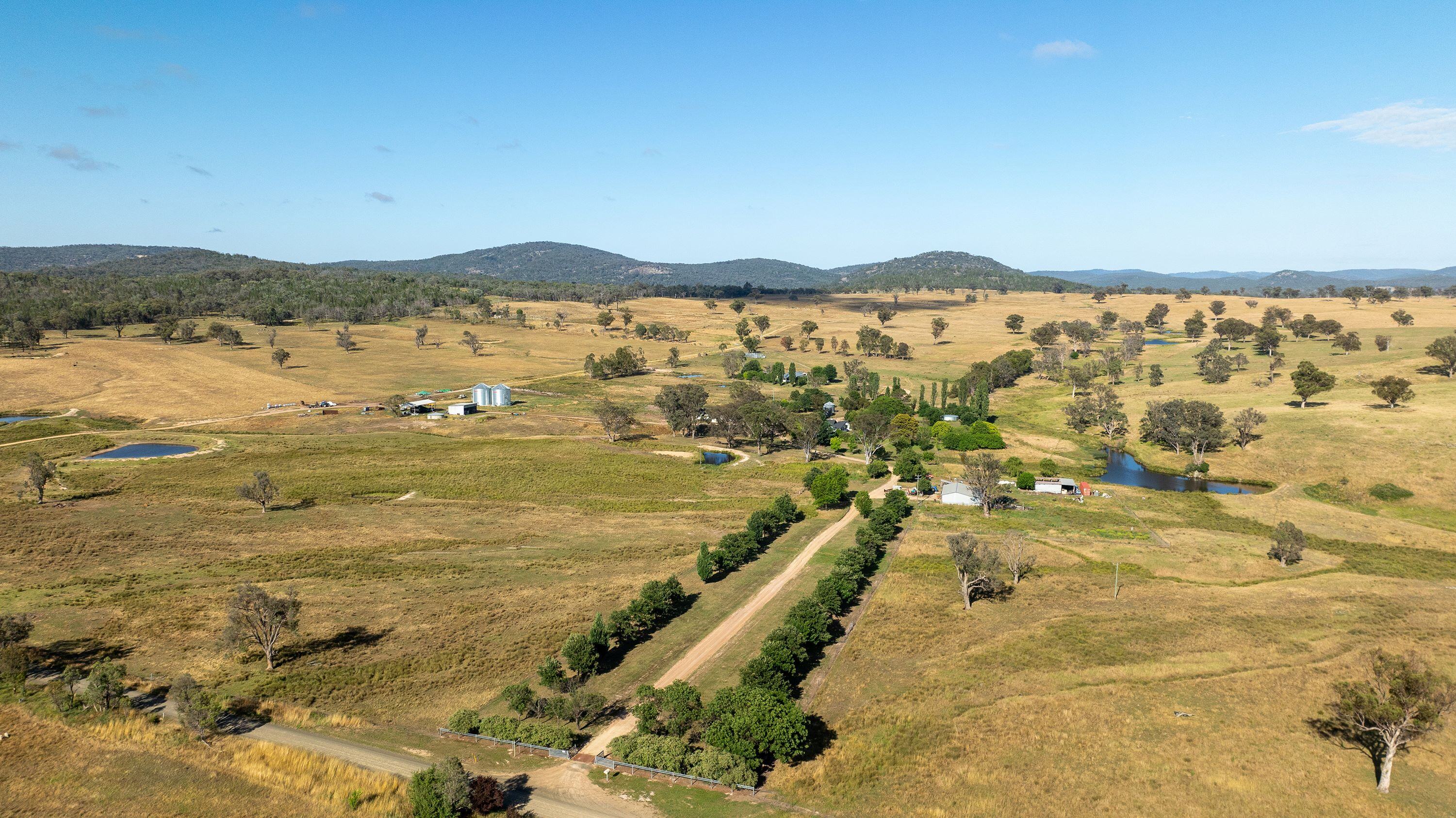 Northern Tablelands grazing estate with carbon potential hits market